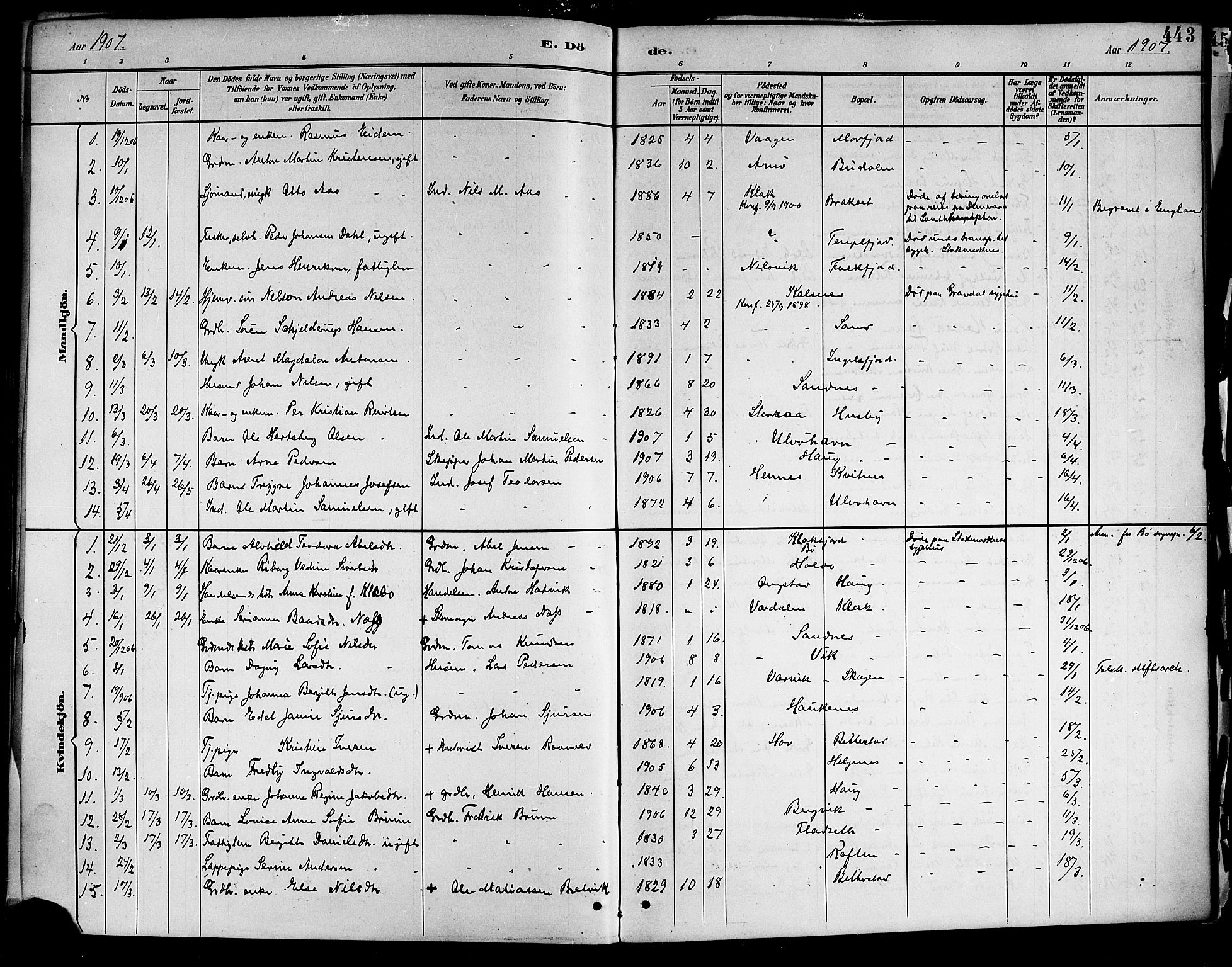 Ministerialprotokoller, klokkerbøker og fødselsregistre - Nordland, AV/SAT-A-1459/888/L1268: Parish register (copy) no. 888C06, 1891-1908, p. 443