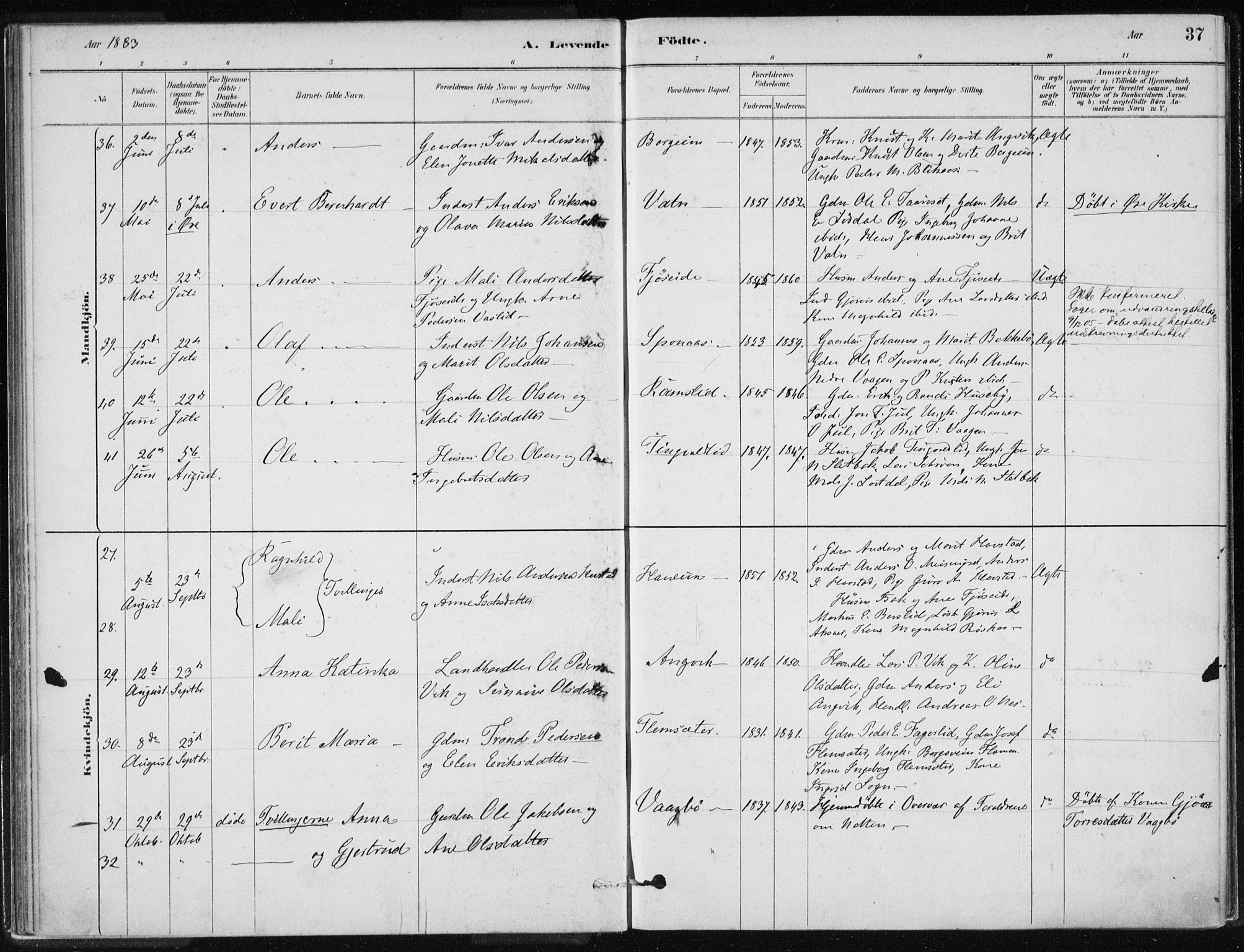 Ministerialprotokoller, klokkerbøker og fødselsregistre - Møre og Romsdal, AV/SAT-A-1454/586/L0987: Parish register (official) no. 586A13, 1879-1892, p. 37