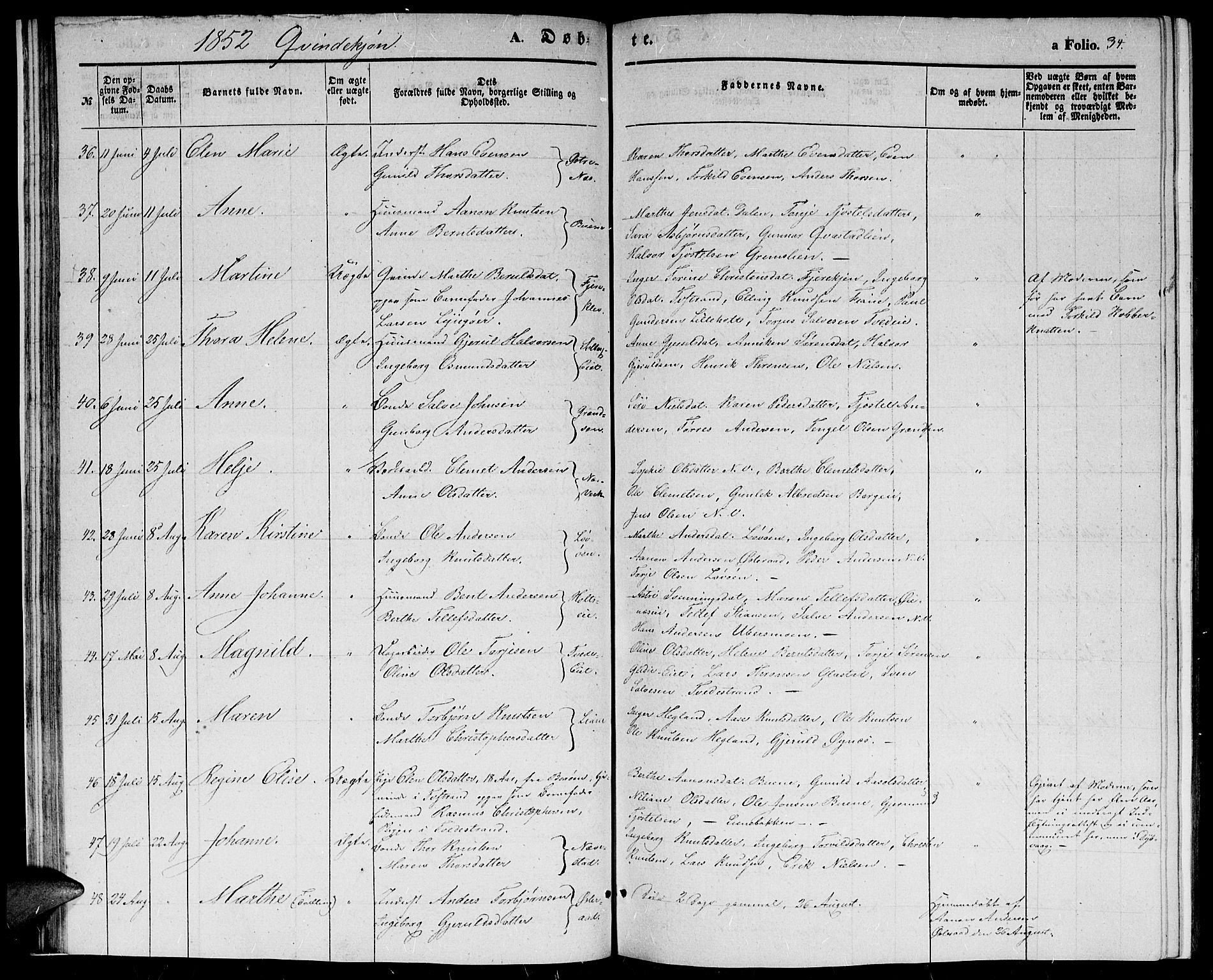 Holt sokneprestkontor, AV/SAK-1111-0021/F/Fb/L0007: Parish register (copy) no. B 7, 1849-1858, p. 34