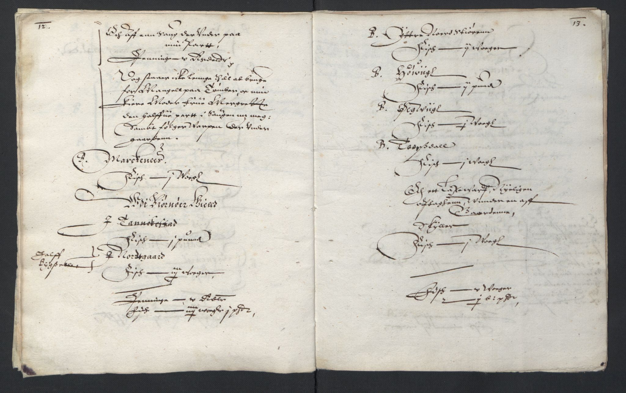 Stattholderembetet 1572-1771, AV/RA-EA-2870/Ek/L0007/0001: Jordebøker til utlikning av rosstjeneste 1624-1626: / Adelsjordebøker, 1624-1625, p. 13