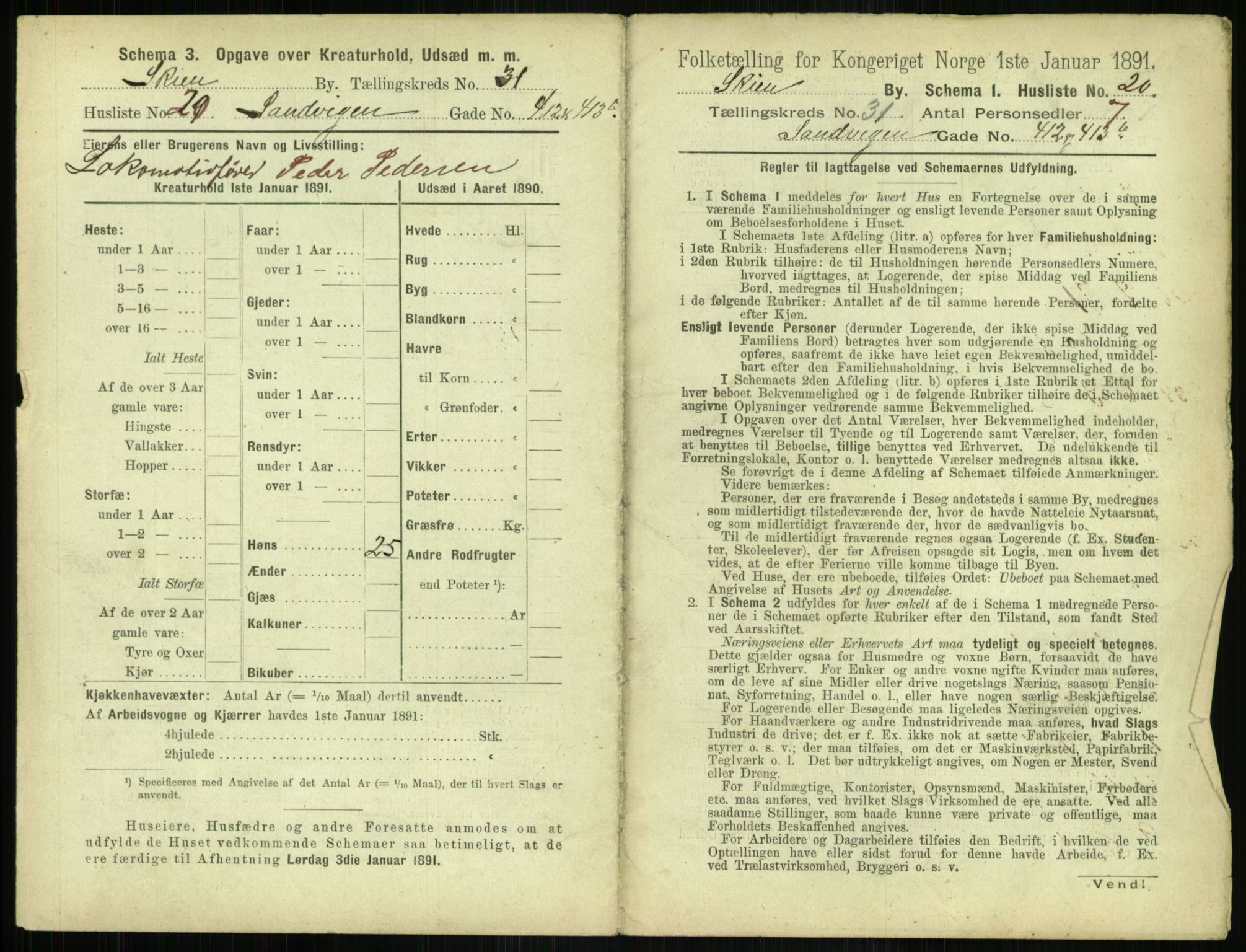 RA, 1891 census for 0806 Skien, 1891, p. 1208