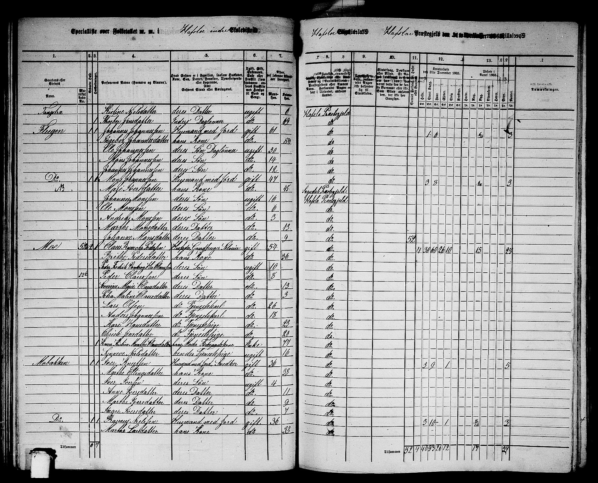 RA, 1865 census for Hafslo, 1865, p. 46