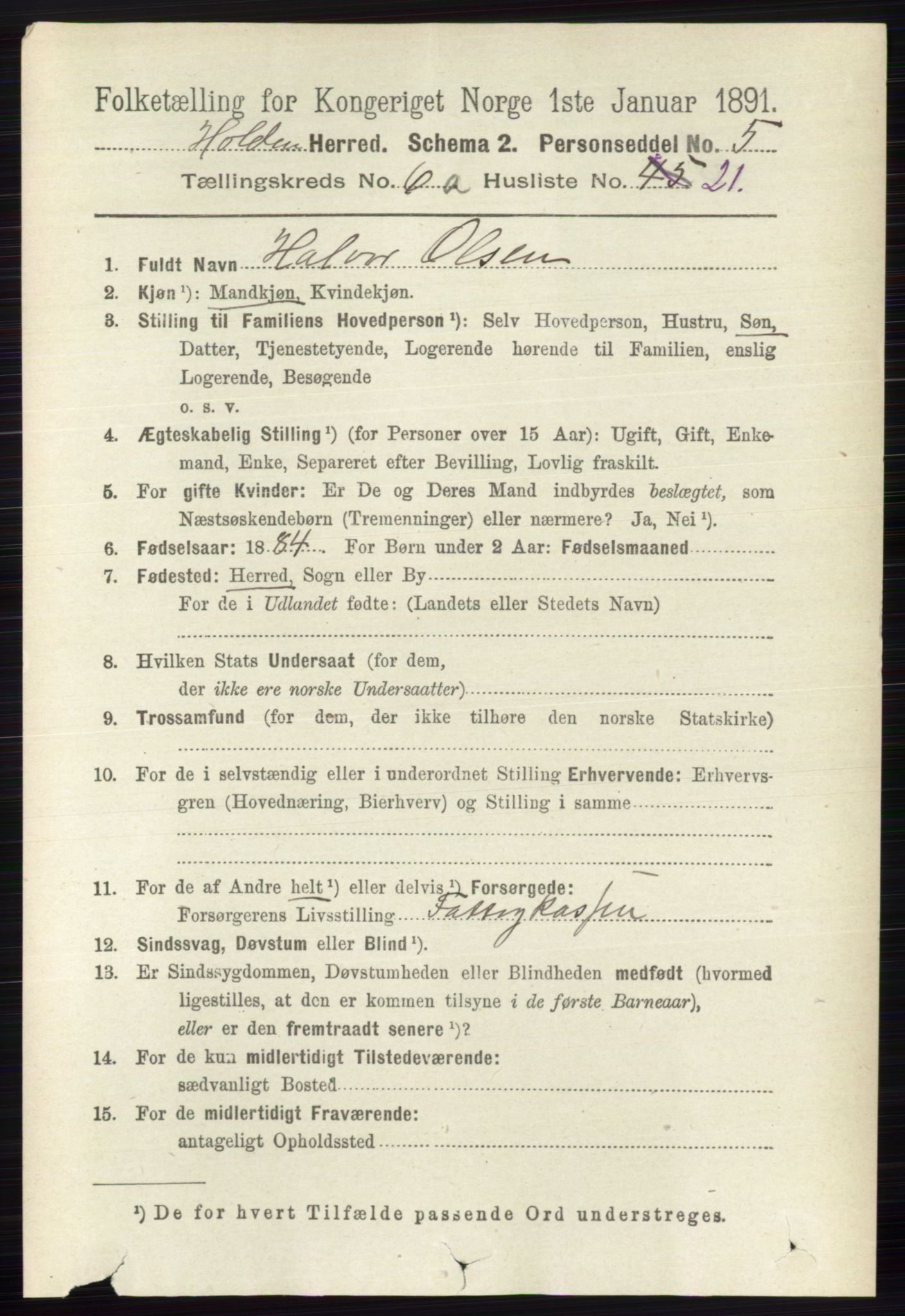 RA, 1891 census for 0819 Holla, 1891, p. 2985