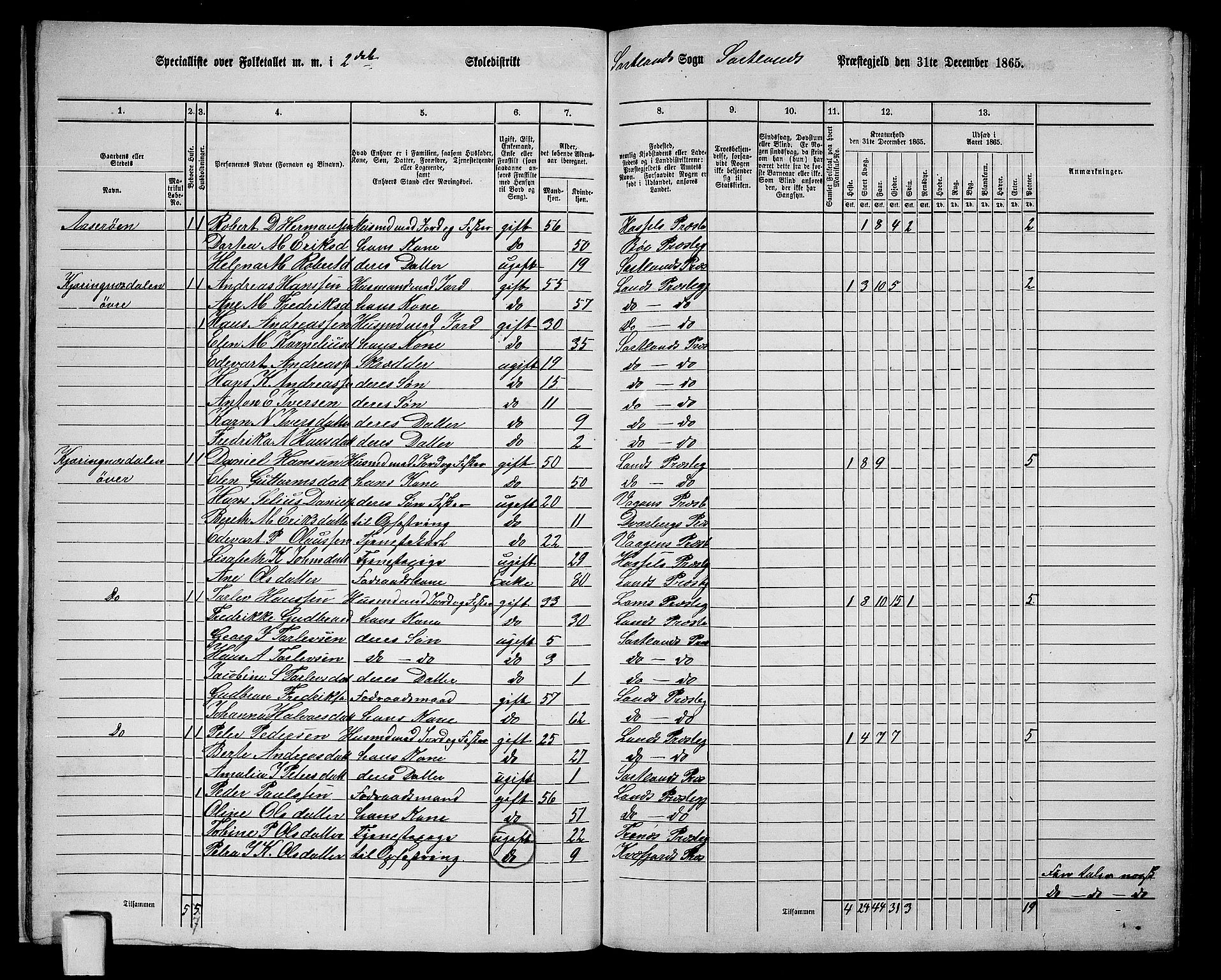 RA, 1865 census for Sortland, 1865, p. 19