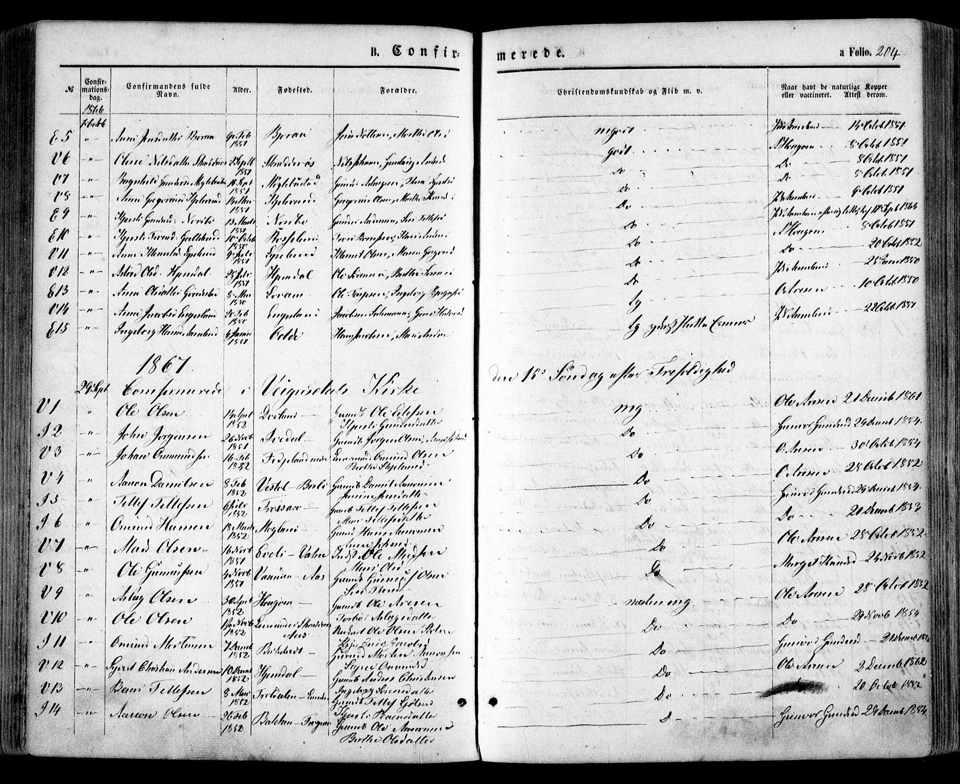 Evje sokneprestkontor, SAK/1111-0008/F/Fa/Faa/L0006: Parish register (official) no. A 6, 1866-1884, p. 204