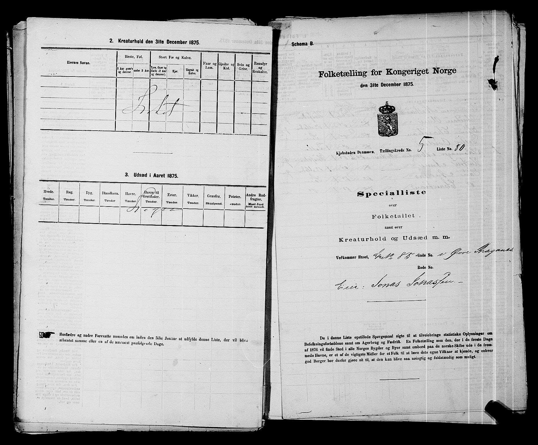 SAKO, 1875 census for 0602 Drammen, 1875, p. 433