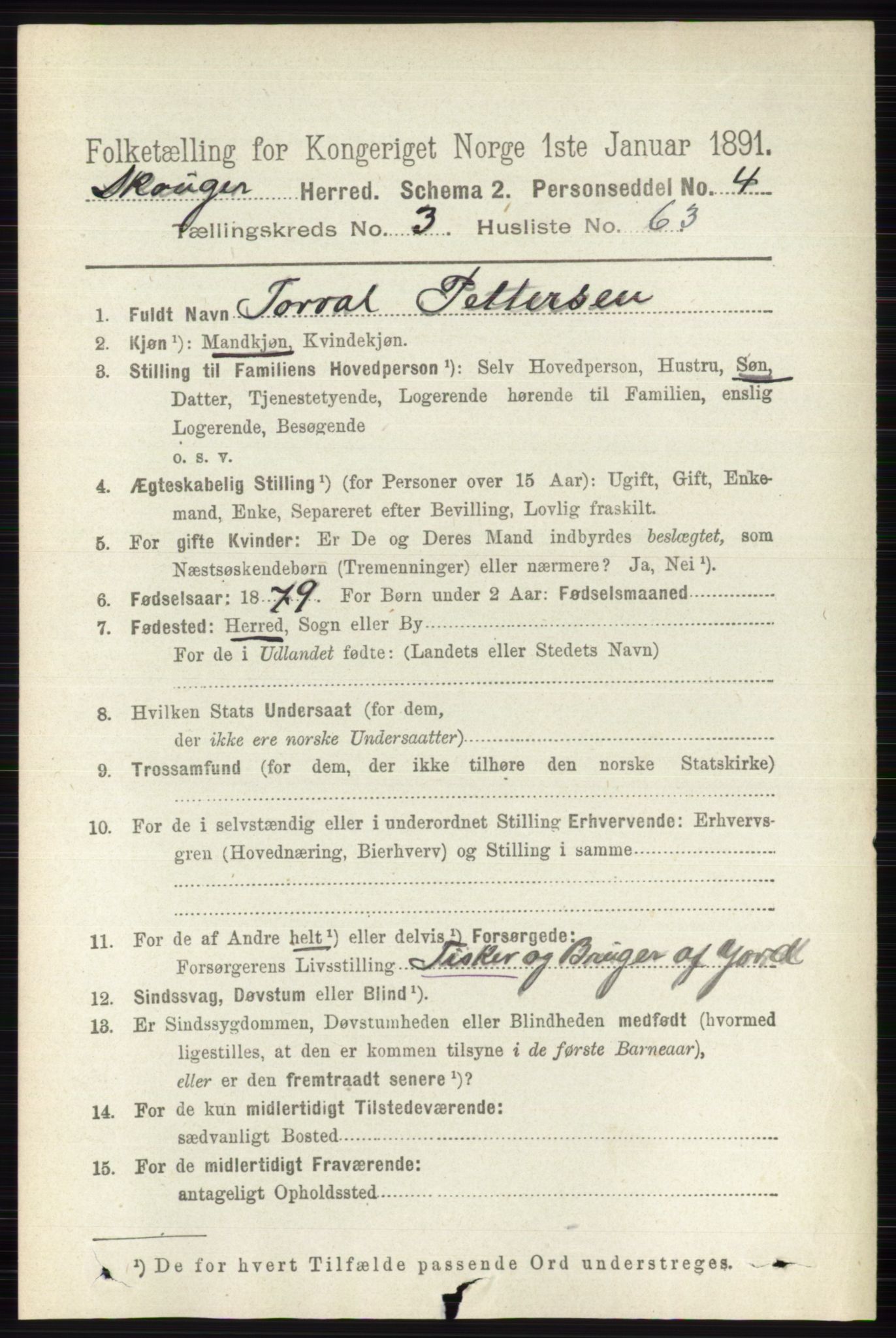 RA, 1891 census for 0712 Skoger, 1891, p. 2145