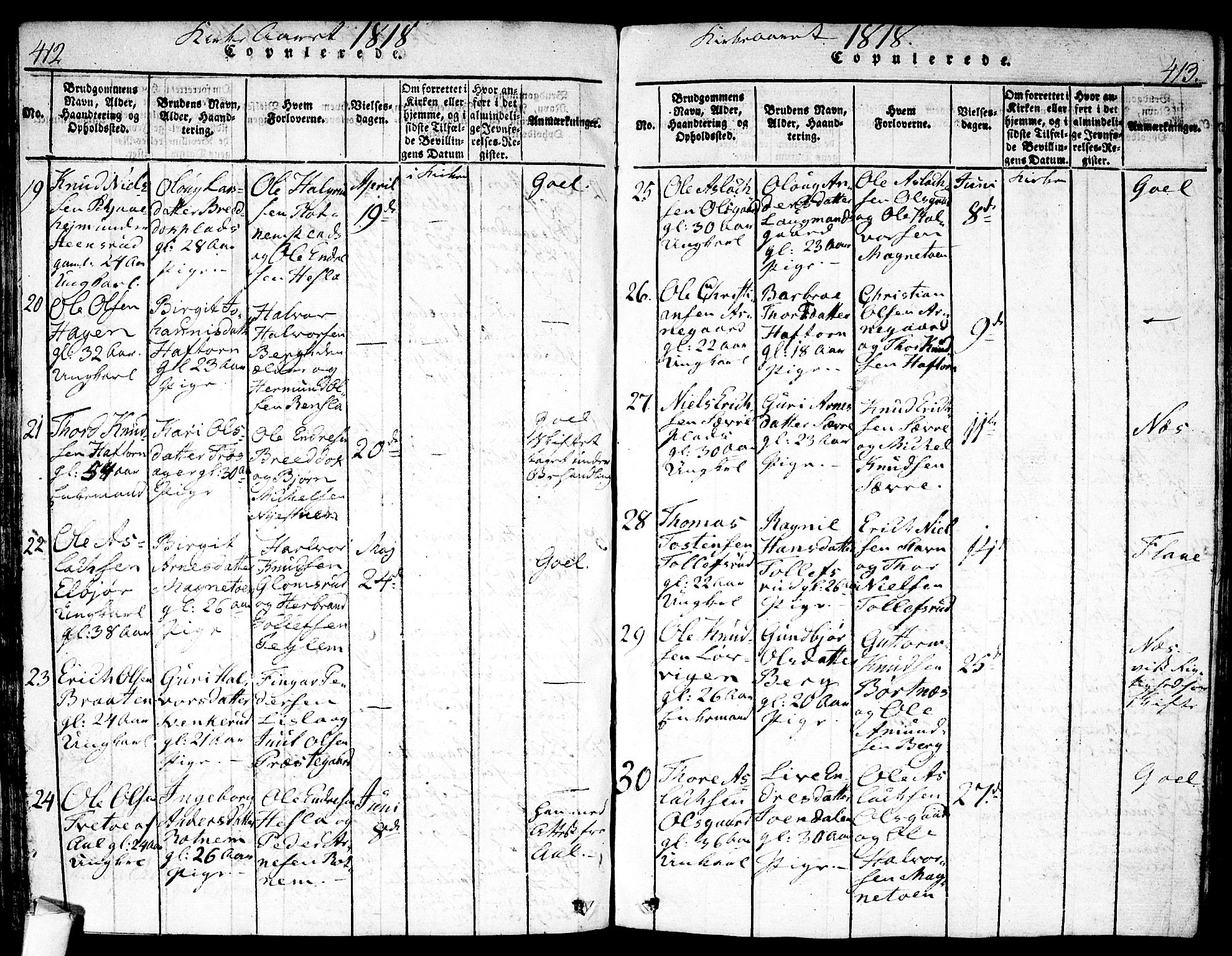 Nes kirkebøker, AV/SAKO-A-236/F/Fa/L0007: Parish register (official) no. 7, 1815-1823, p. 412-413