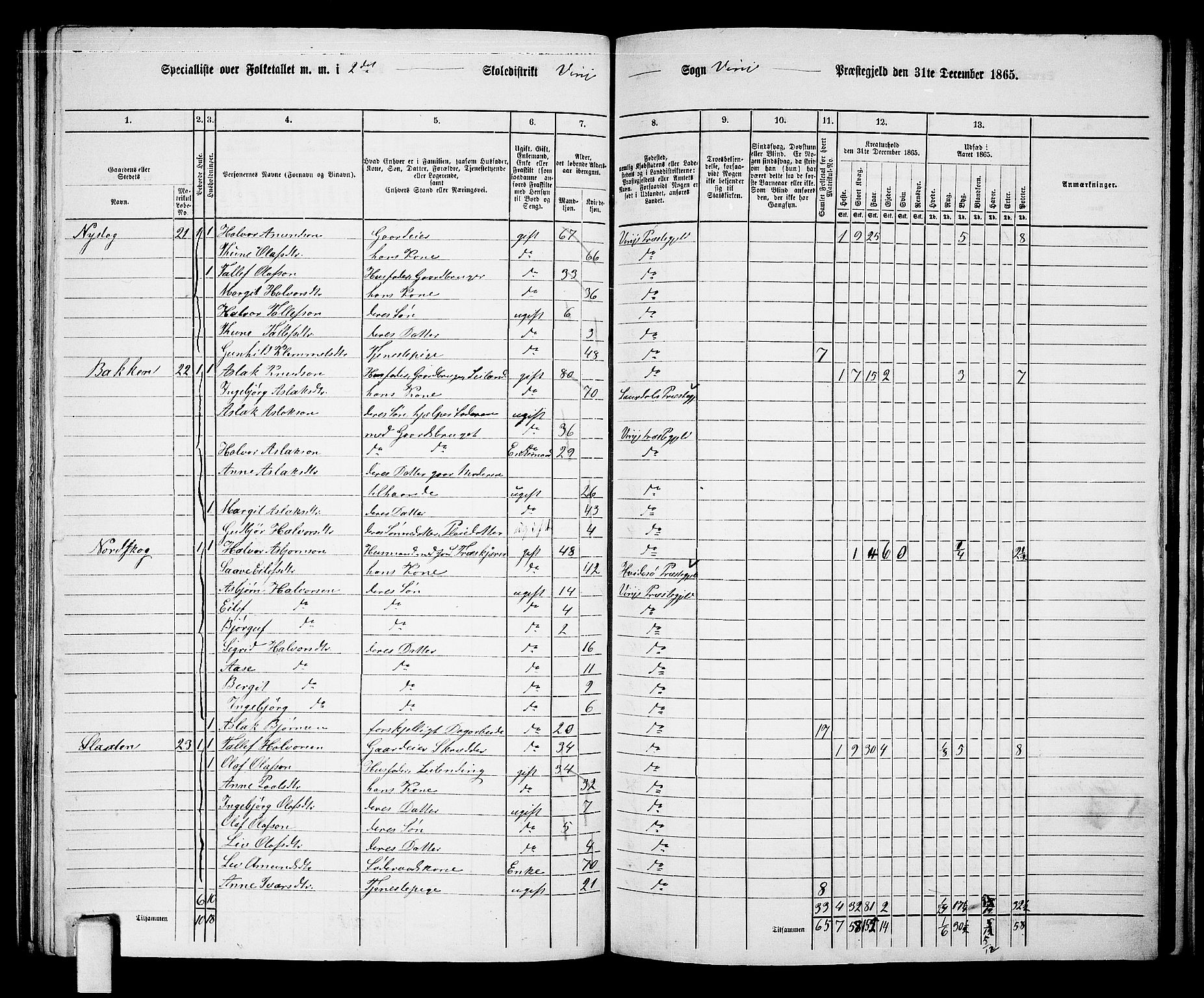 RA, 1865 census for Vinje, 1865, p. 18