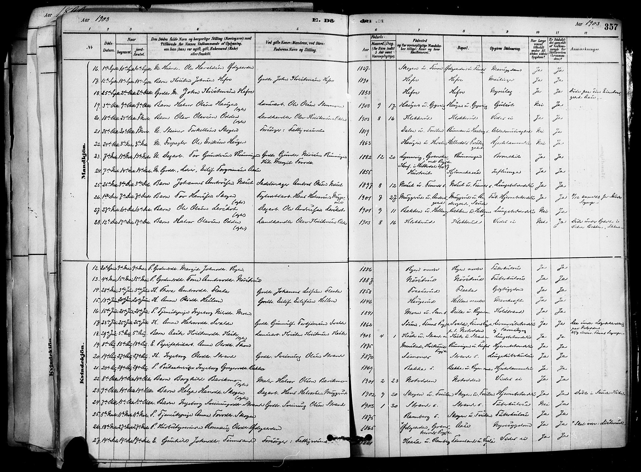 Heddal kirkebøker, SAKO/A-268/F/Fa/L0008: Parish register (official) no. I 8, 1878-1903, p. 357