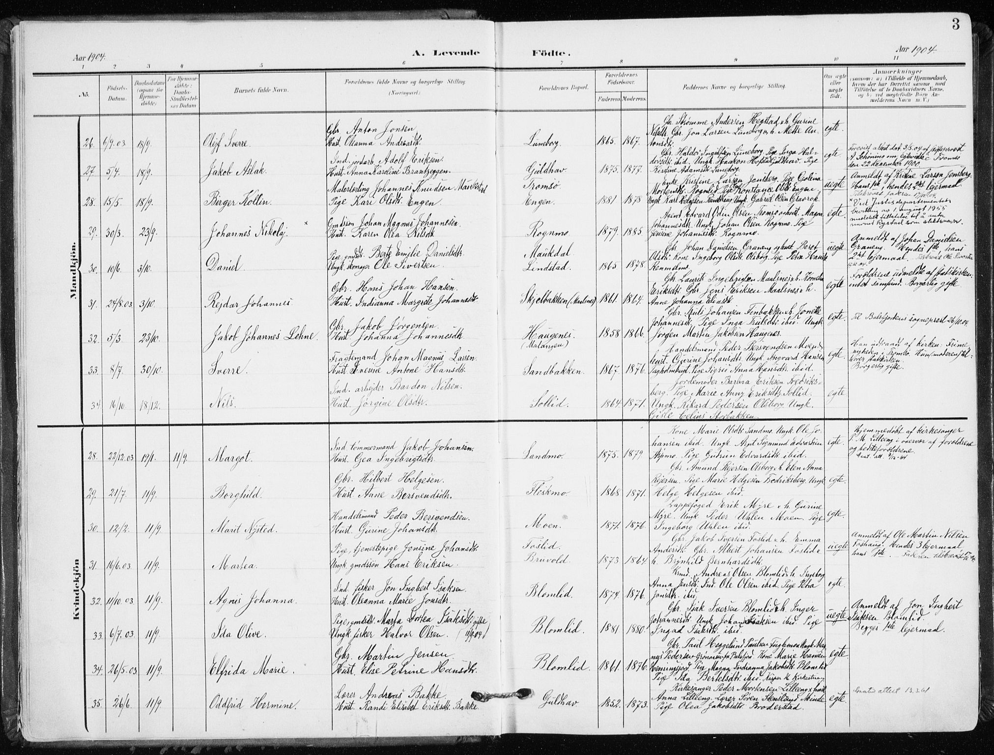 Målselv sokneprestembete, SATØ/S-1311/G/Ga/Gaa/L0011kirke: Parish register (official) no. 11, 1904-1918, p. 3