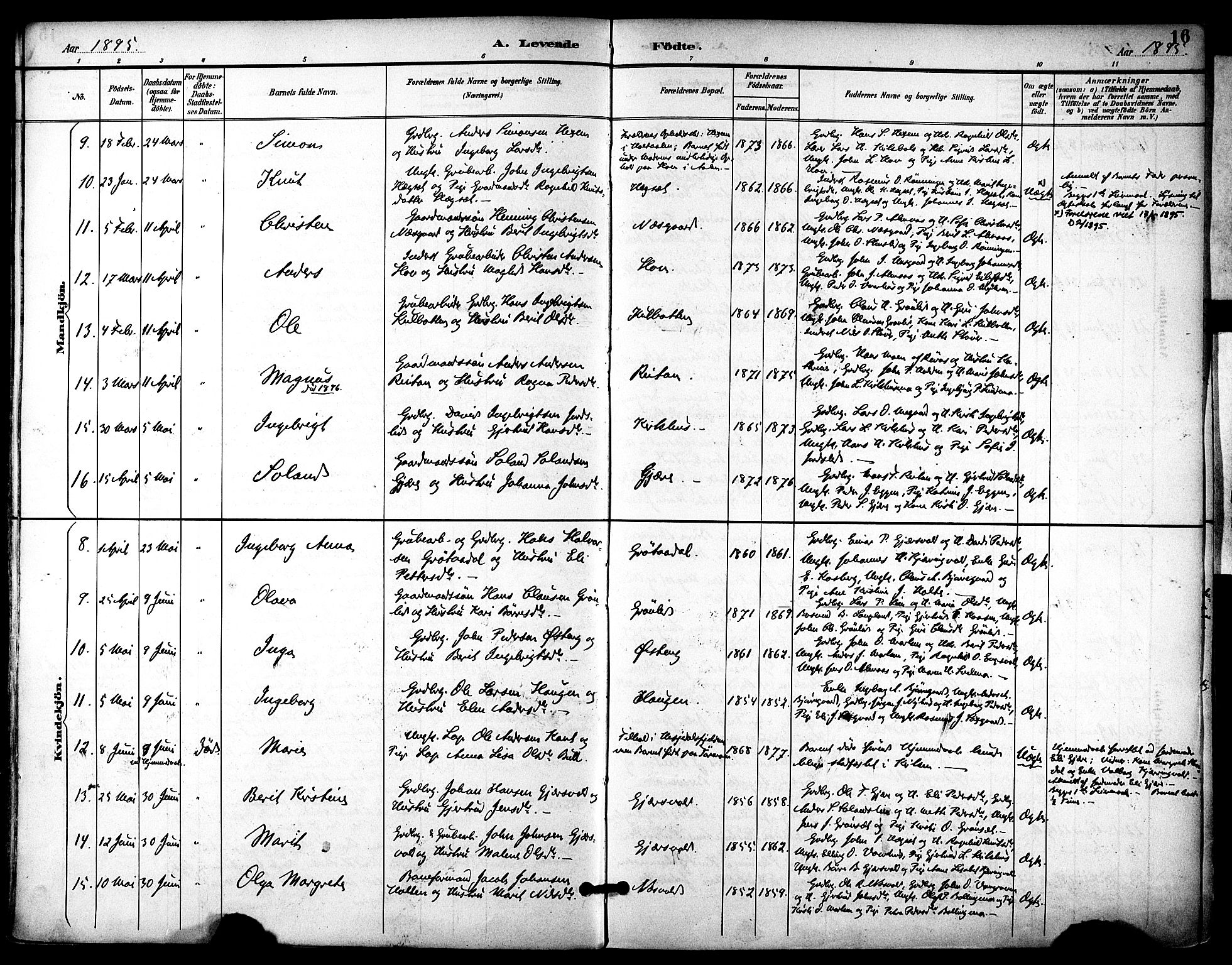 Ministerialprotokoller, klokkerbøker og fødselsregistre - Sør-Trøndelag, SAT/A-1456/686/L0984: Parish register (official) no. 686A02, 1891-1906, p. 16