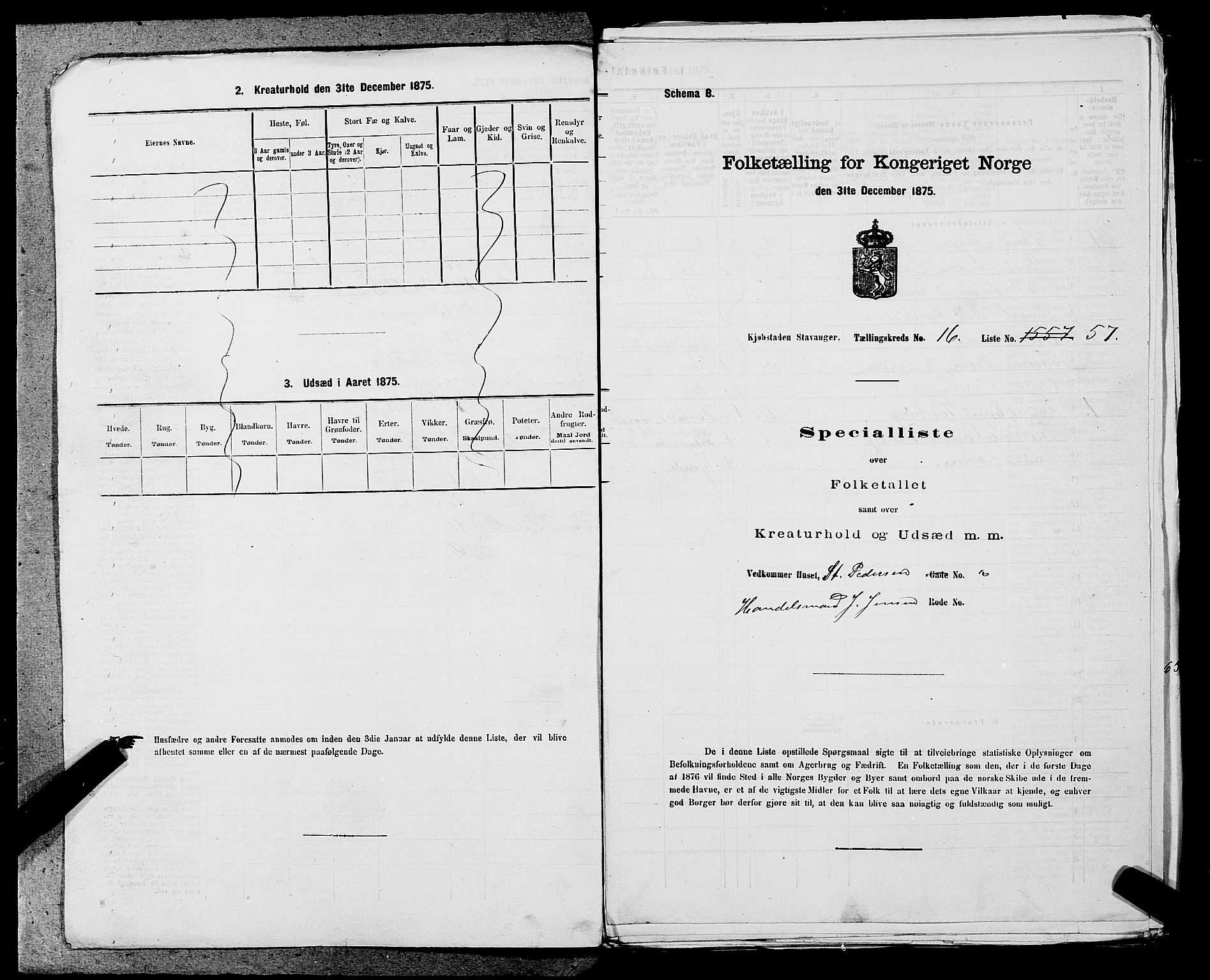 SAST, 1875 census for 1103 Stavanger, 1875, p. 3154