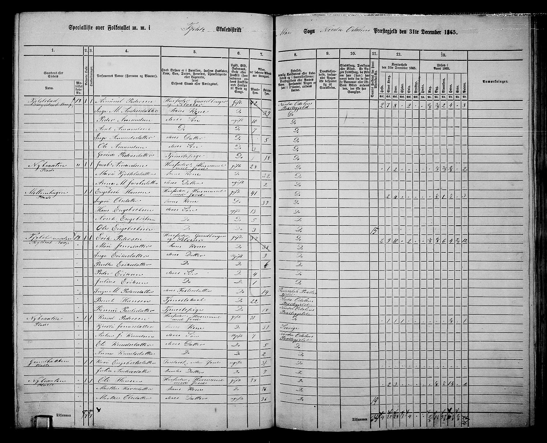 RA, 1865 census for Nord-Odal, 1865, p. 99