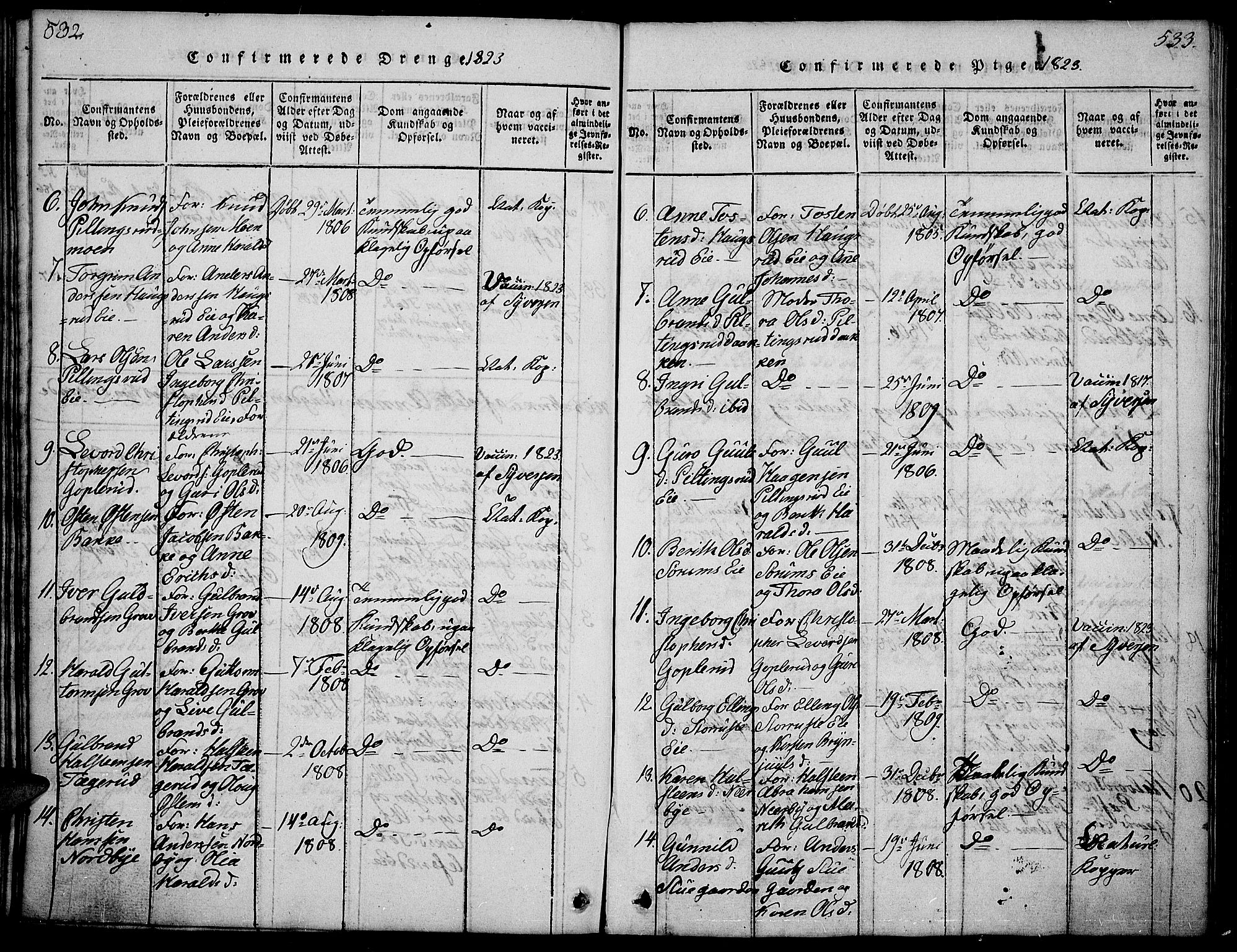 Sør-Aurdal prestekontor, SAH/PREST-128/H/Ha/Hab/L0001: Parish register (copy) no. 1, 1815-1826, p. 532-533