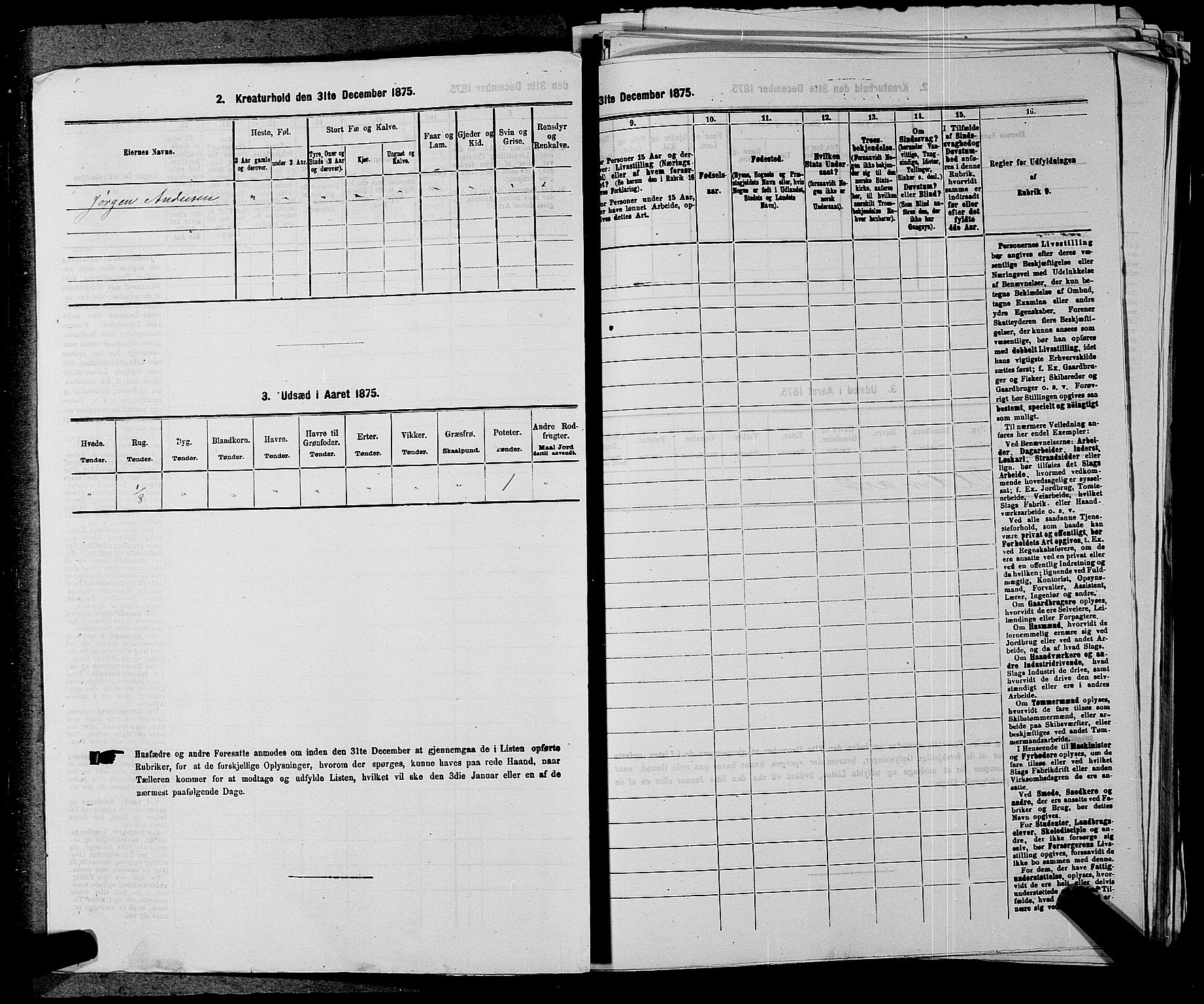 SAKO, 1875 census for 0721P Sem, 1875, p. 1358