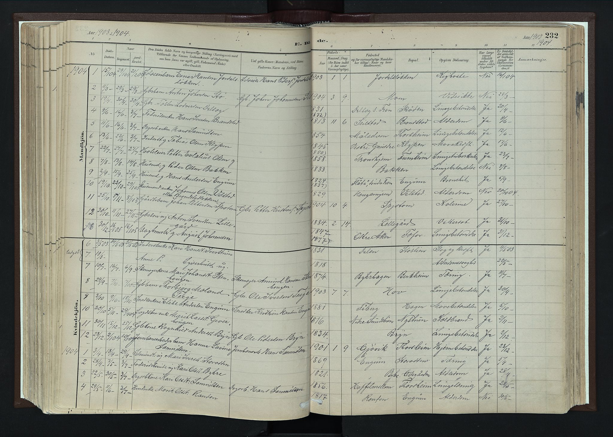 Nord-Fron prestekontor, SAH/PREST-080/H/Ha/Haa/L0004: Parish register (official) no. 4, 1884-1914, p. 232