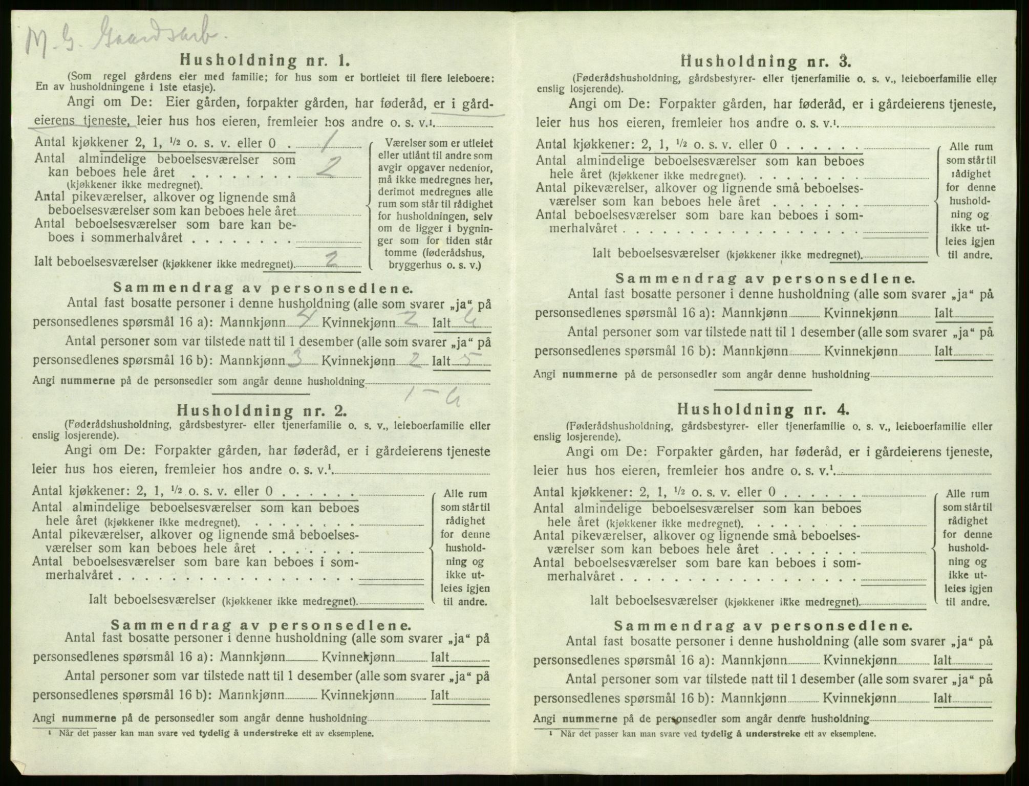 SAKO, 1920 census for Borre, 1920, p. 803