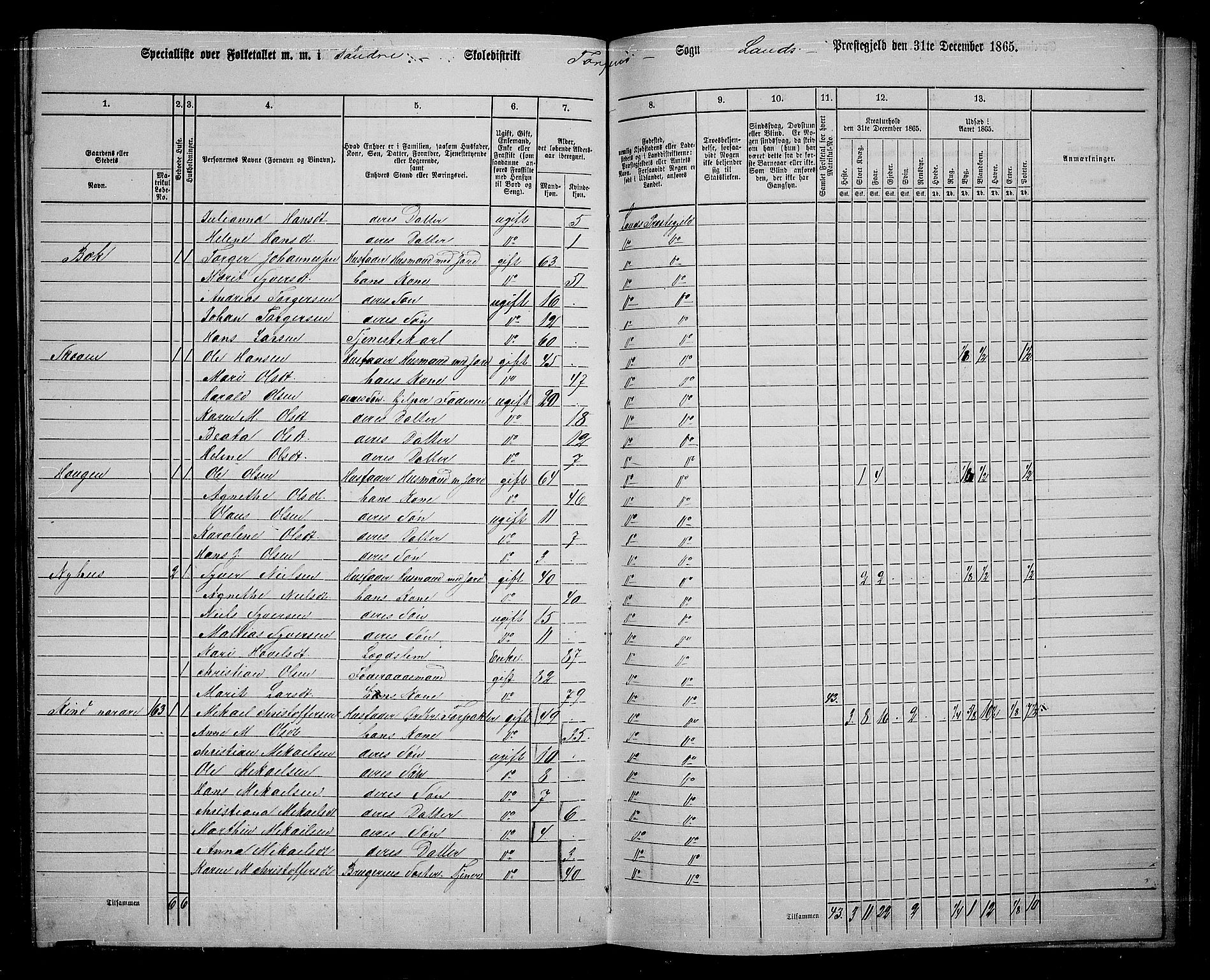 RA, 1865 census for Land, 1865, p. 116