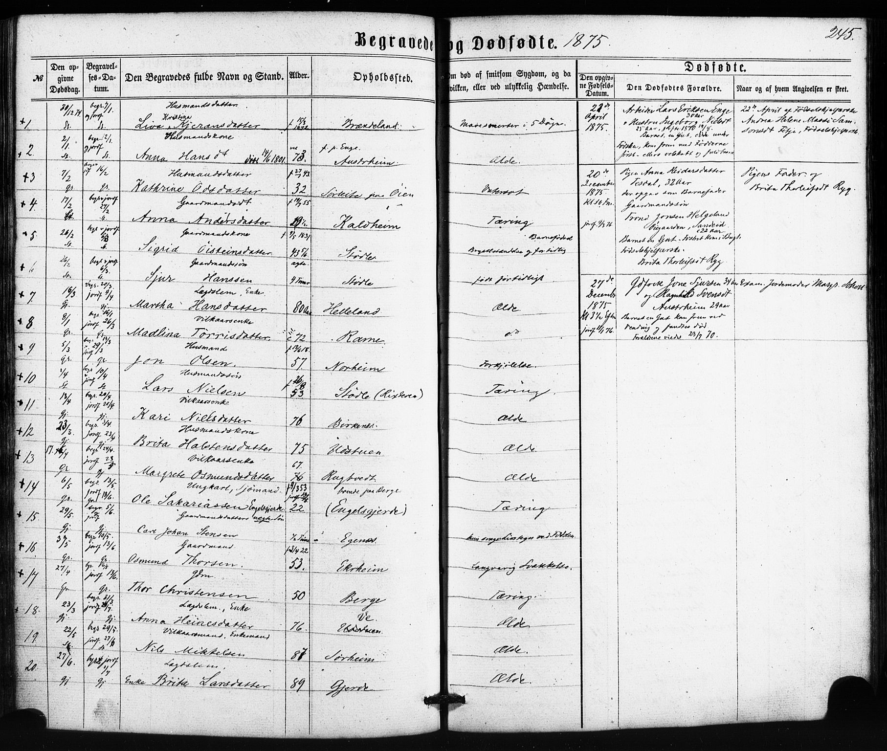 Etne sokneprestembete, SAB/A-75001/H/Haa: Parish register (official) no. A 9, 1862-1878, p. 245
