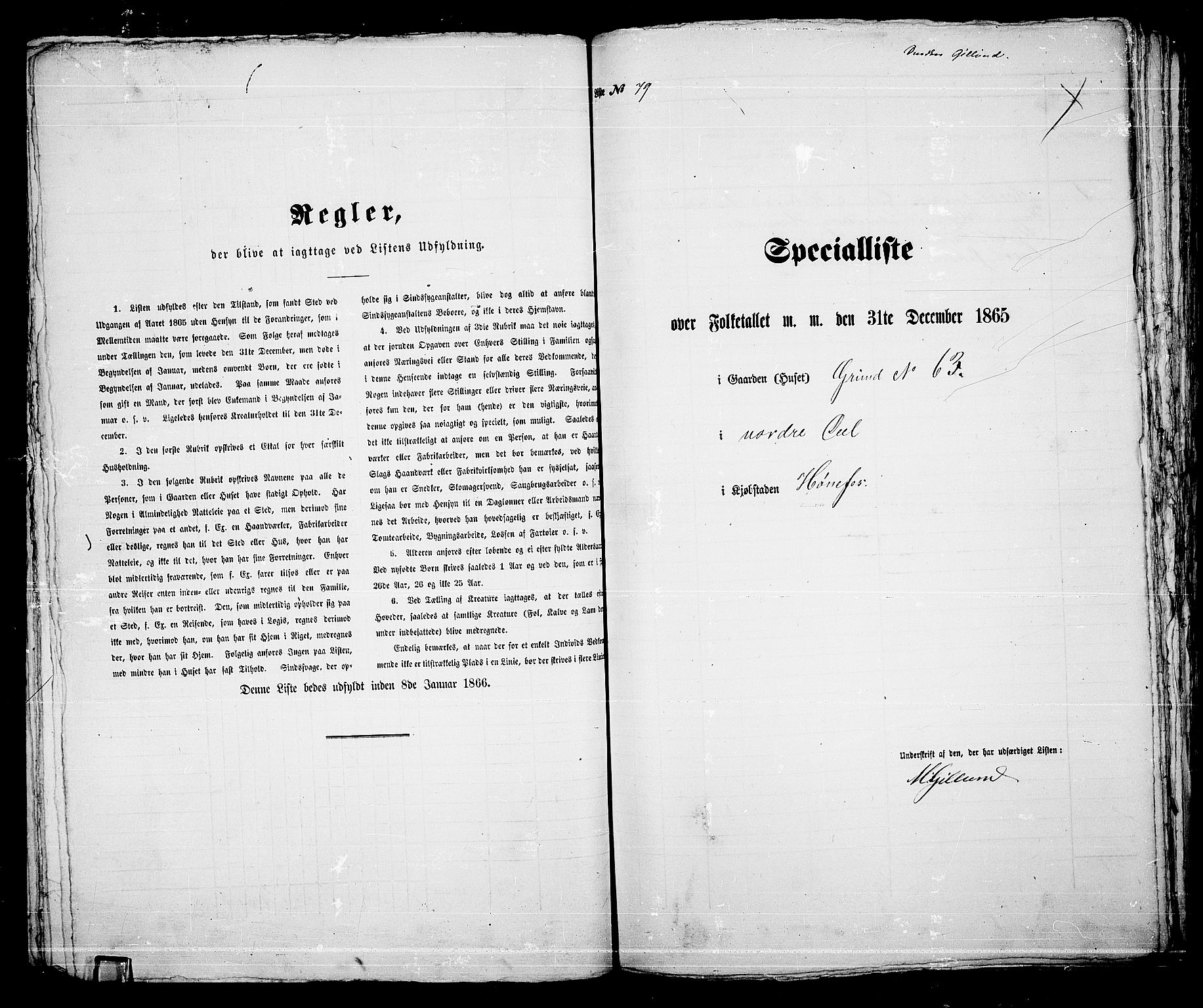 RA, 1865 census for Norderhov/Hønefoss, 1865, p. 152