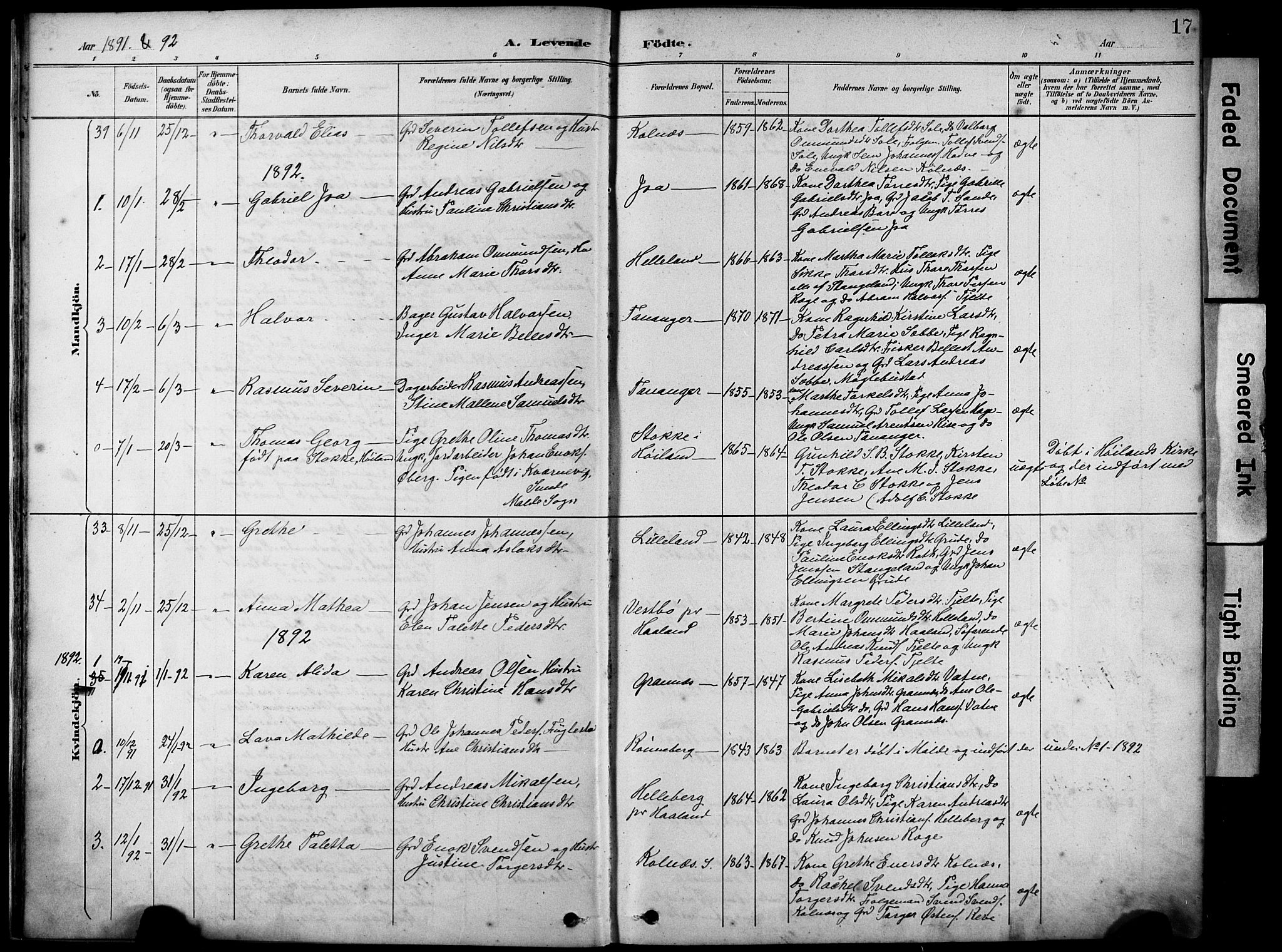 Håland sokneprestkontor, SAST/A-101802/001/30BA/L0012: Parish register (official) no. A 11, 1889-1900, p. 17