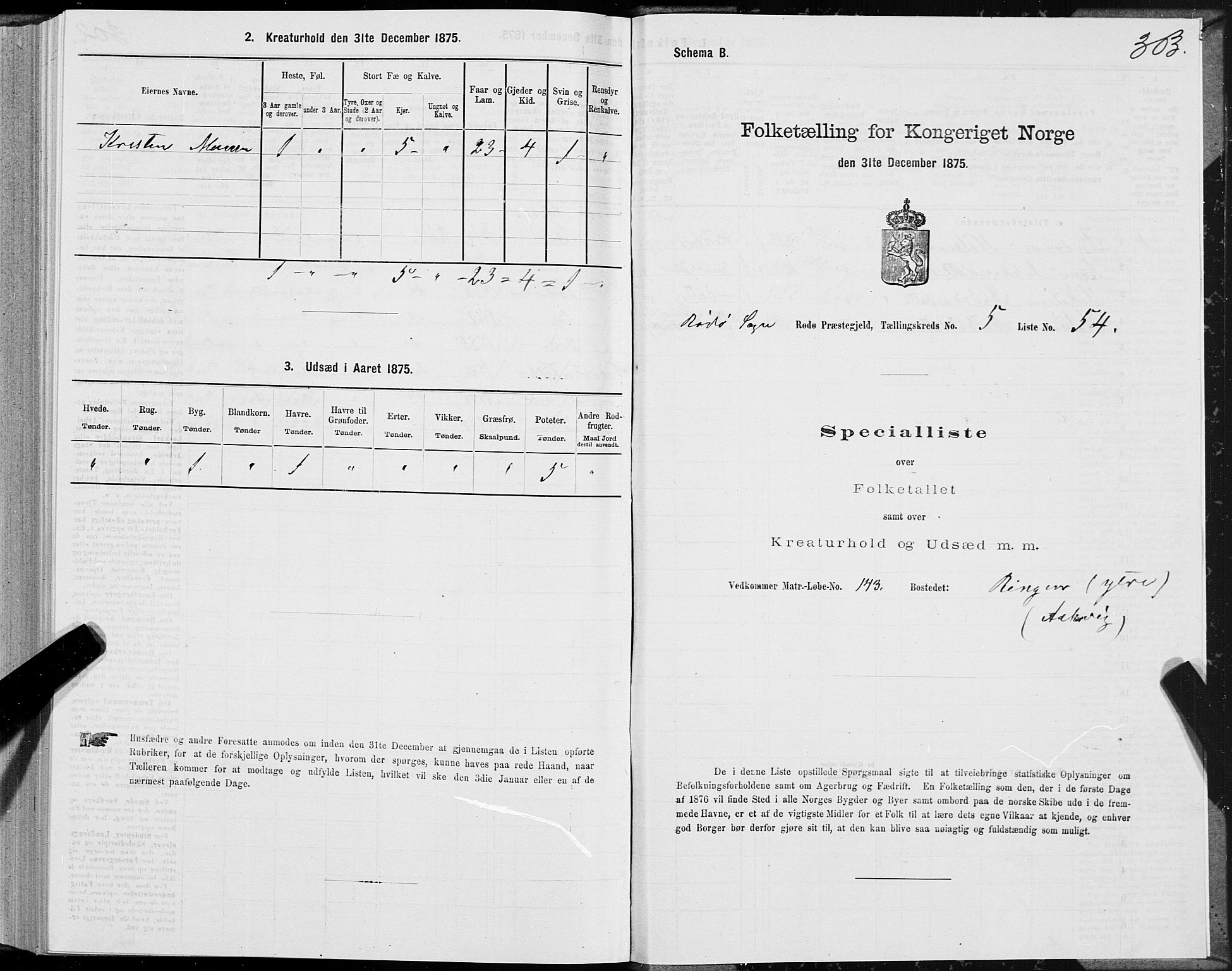 SAT, 1875 census for 1836P Rødøy, 1875, p. 2303