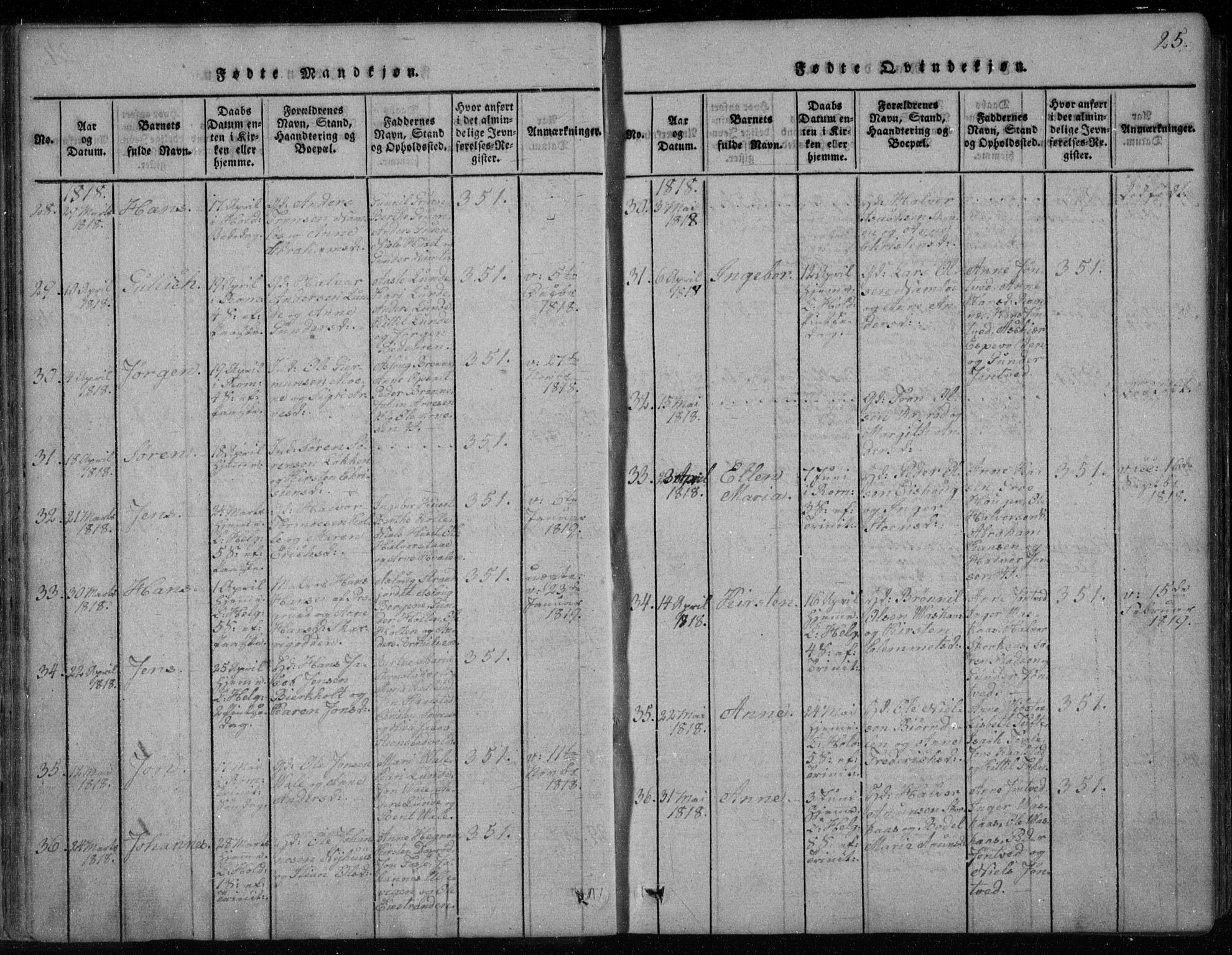 Holla kirkebøker, SAKO/A-272/F/Fa/L0003: Parish register (official) no. 3, 1815-1830, p. 25