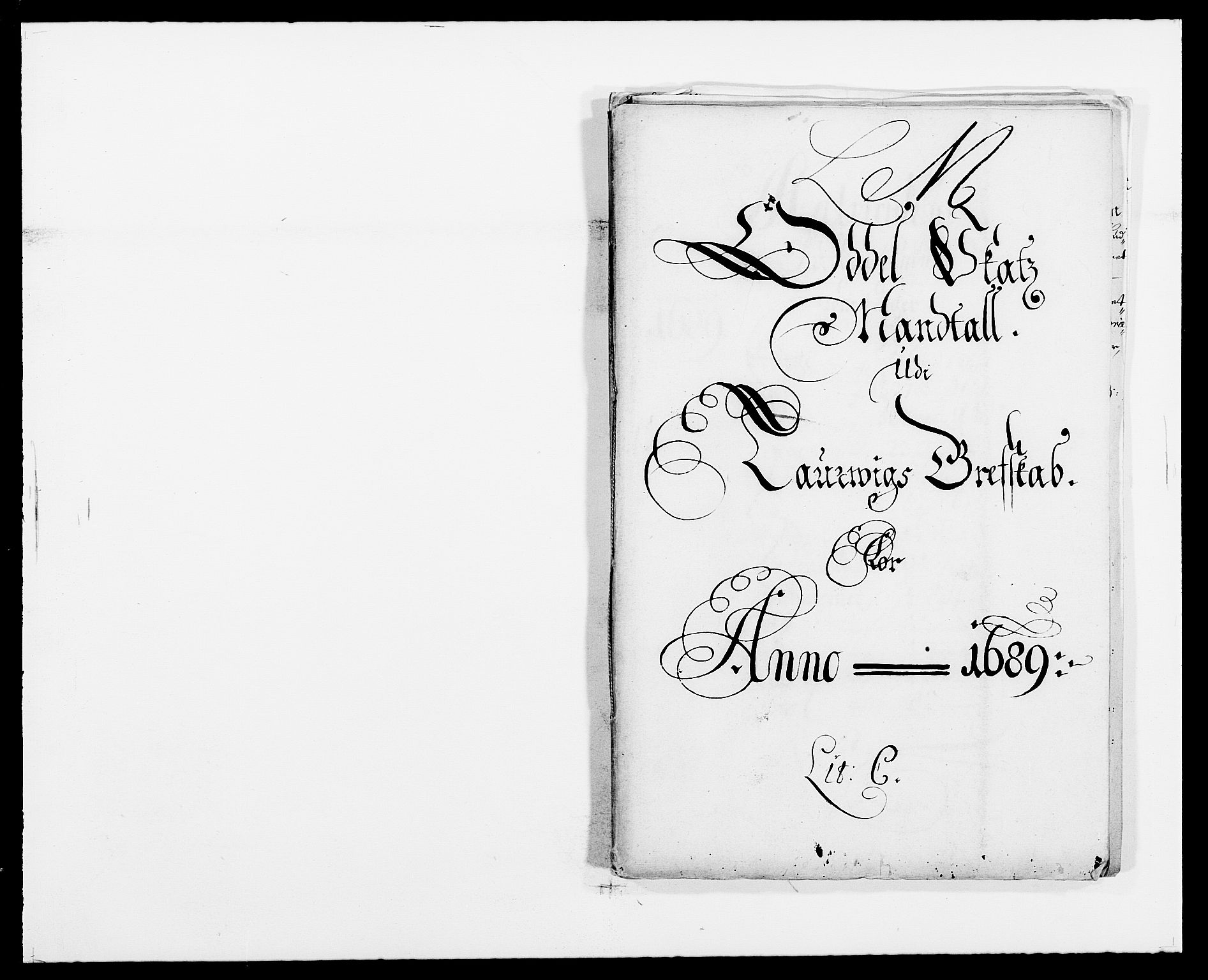 Rentekammeret inntil 1814, Reviderte regnskaper, Fogderegnskap, RA/EA-4092/R33/L1971: Fogderegnskap Larvik grevskap, 1688-1689, p. 208