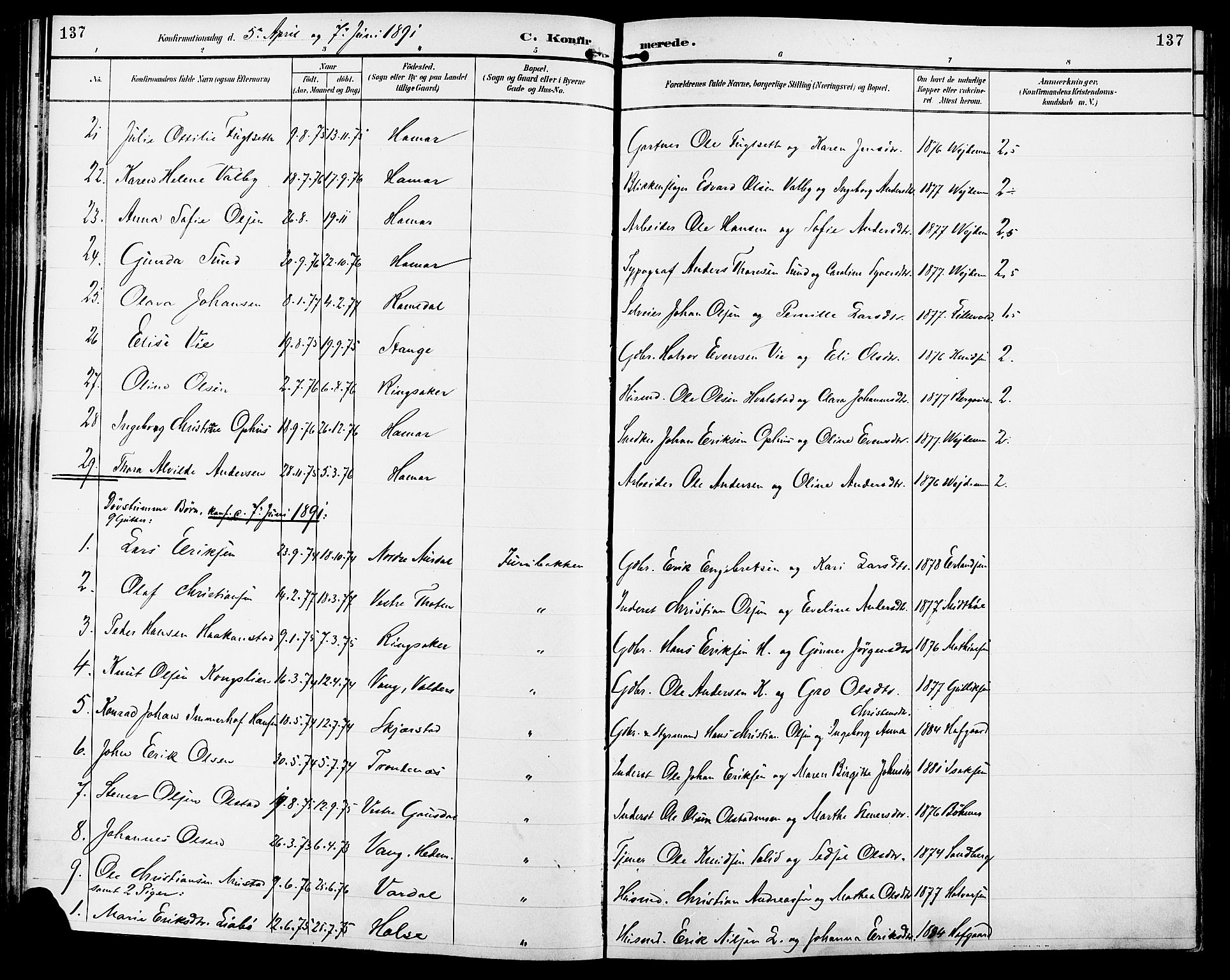 Vang prestekontor, Hedmark, SAH/PREST-008/H/Ha/Haa/L0017: Parish register (official) no. 17, 1890-1899, p. 137