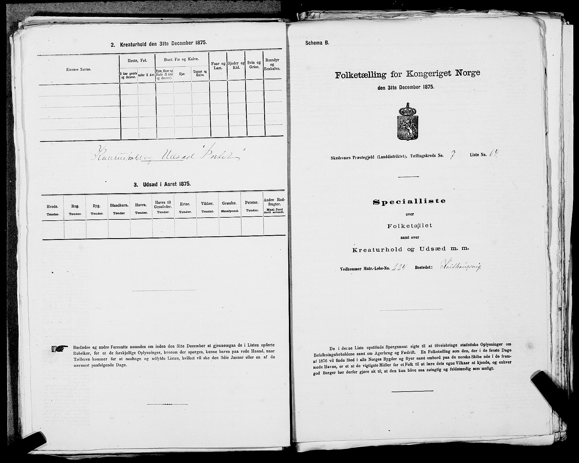 SAST, 1875 census for 1150L Skudenes/Falnes, Åkra og Ferkingstad, 1875, p. 1045