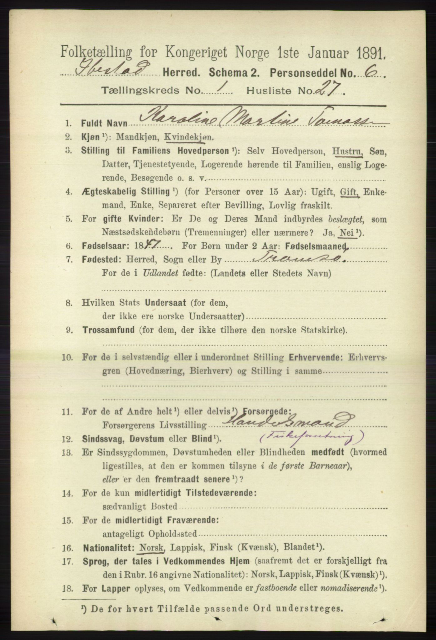 RA, 1891 census for 1917 Ibestad, 1891, p. 326