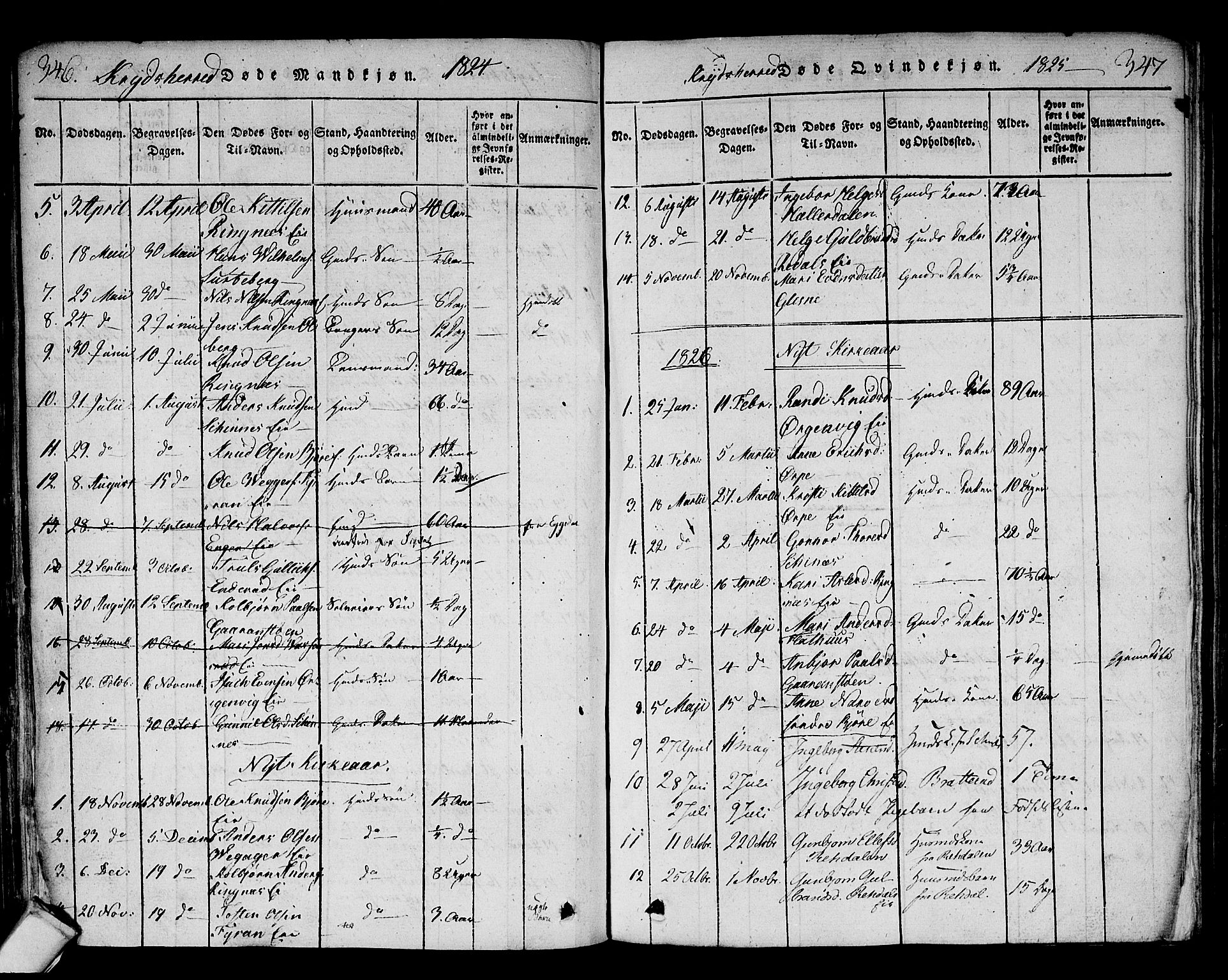 Sigdal kirkebøker, AV/SAKO-A-245/F/Fa/L0005: Parish register (official) no. I 5 /3, 1815-1829, p. 346-347