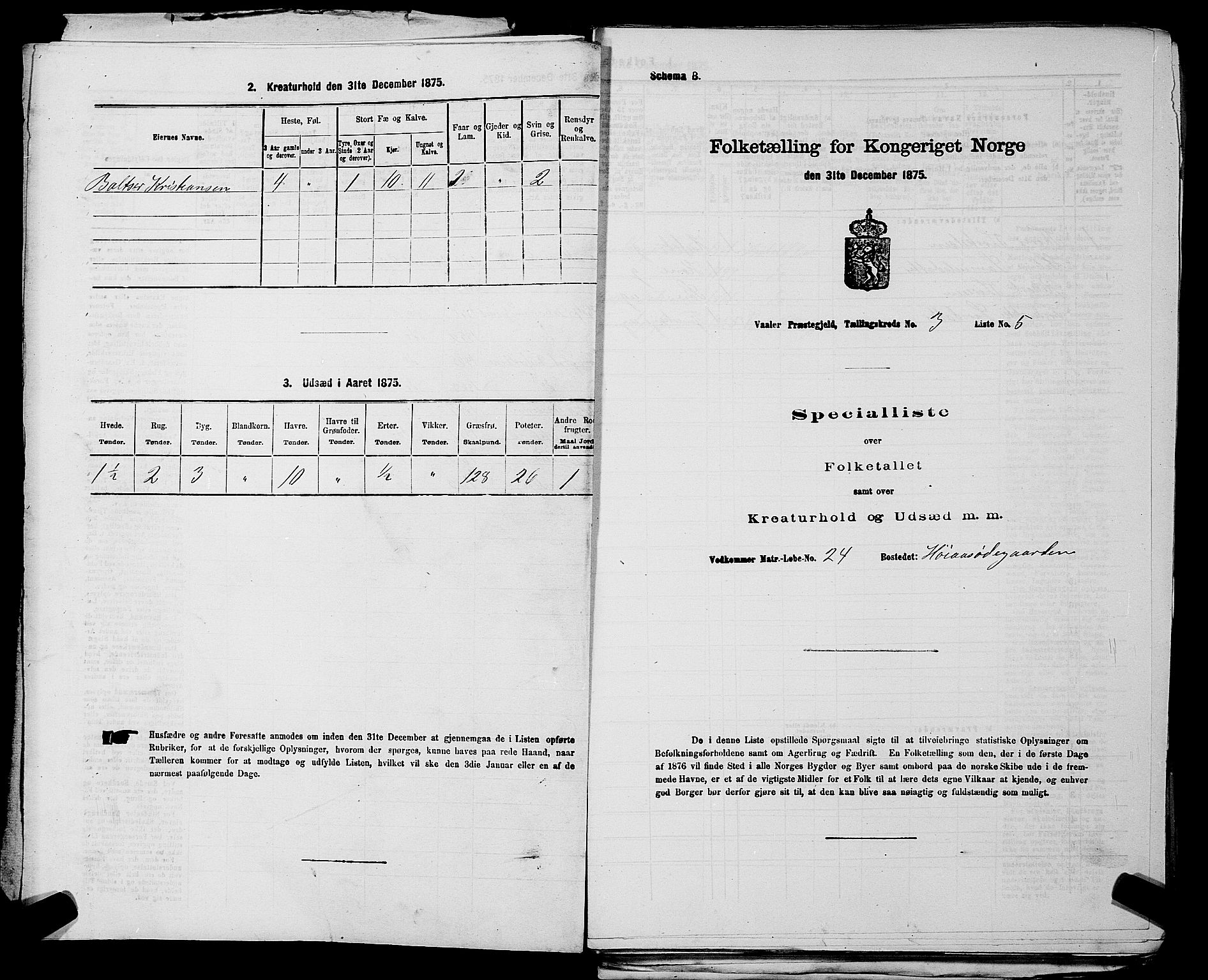 RA, 1875 census for 0137P Våler, 1875, p. 411