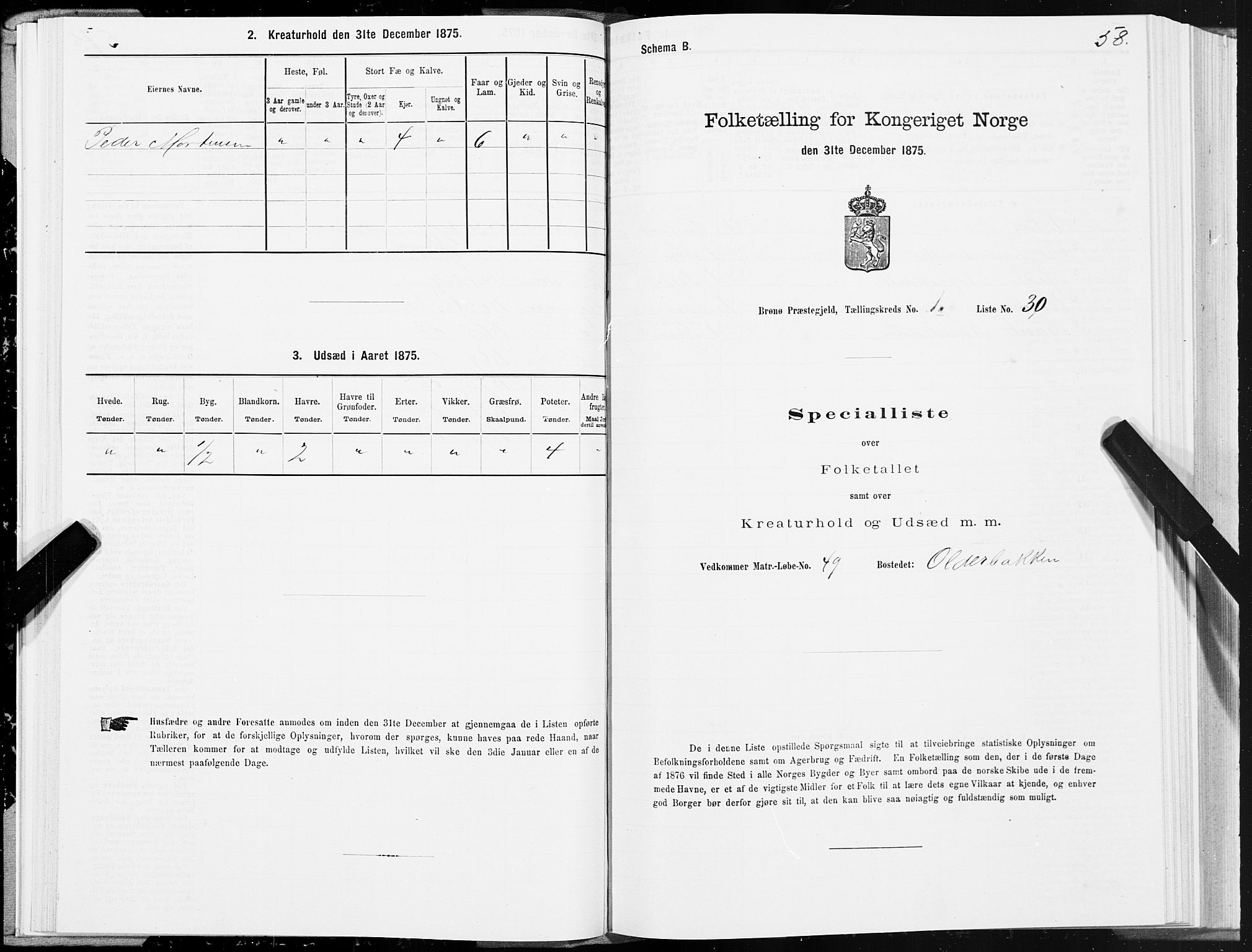 SAT, 1875 census for 1814P Brønnøy, 1875, p. 1058