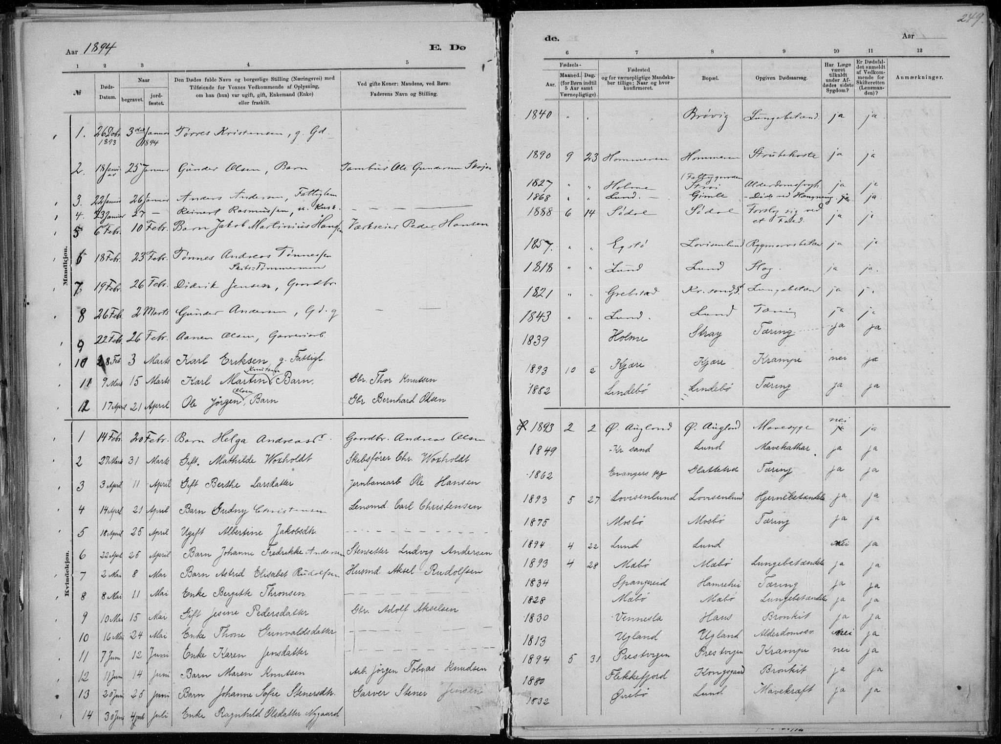 Oddernes sokneprestkontor, SAK/1111-0033/F/Fa/Faa/L0009: Parish register (official) no. A 9, 1884-1896, p. 249
