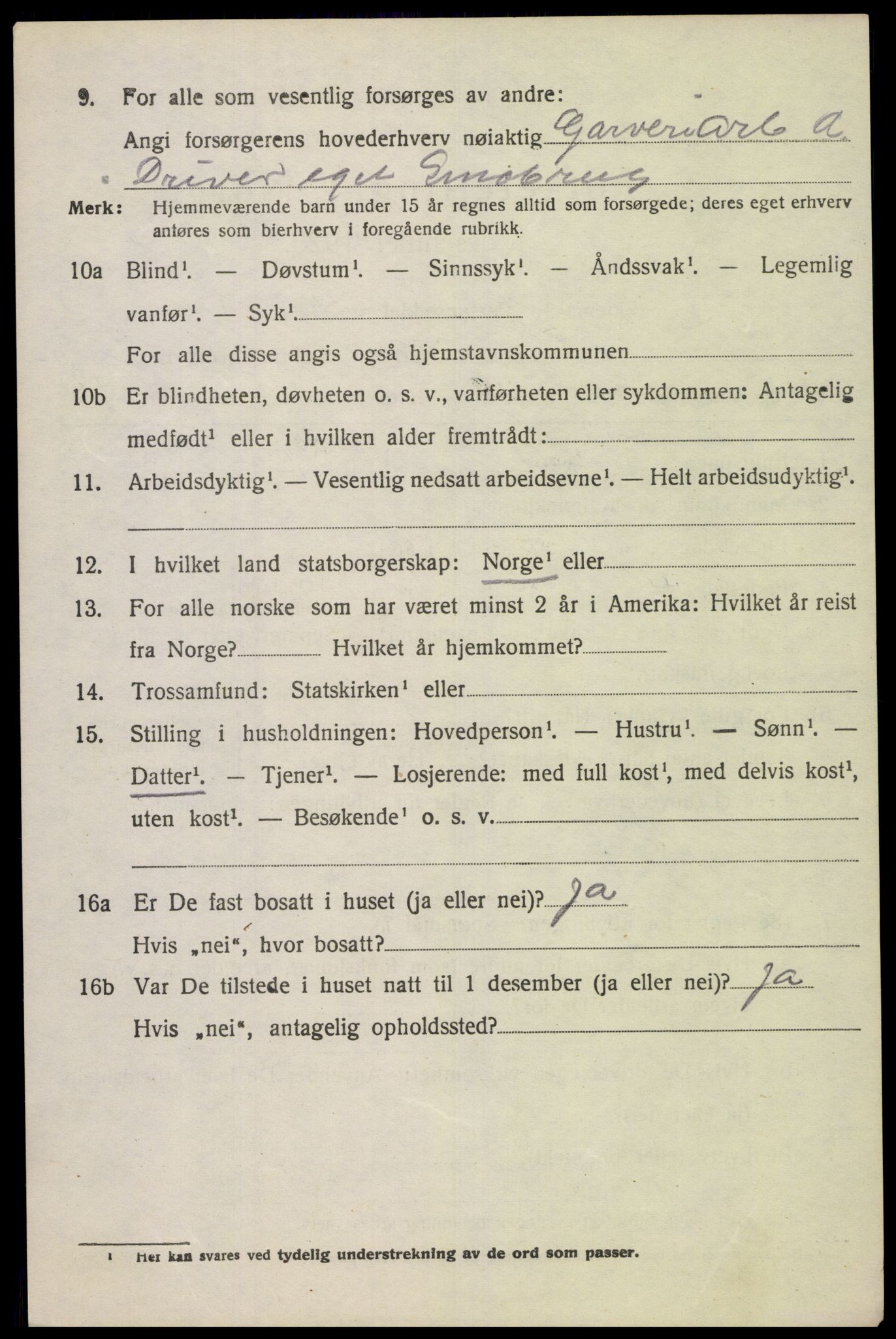 SAK, 1920 census for Nes (V-A), 1920, p. 4229