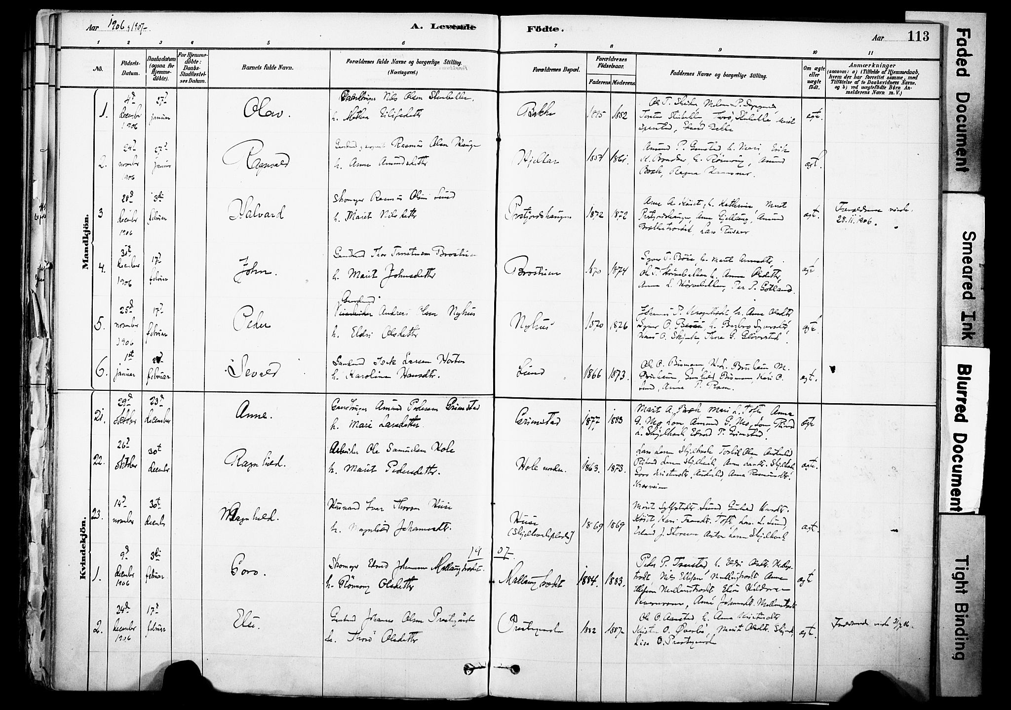 Skjåk prestekontor, AV/SAH-PREST-072/H/Ha/Haa/L0003: Parish register (official) no. 3, 1880-1907, p. 113