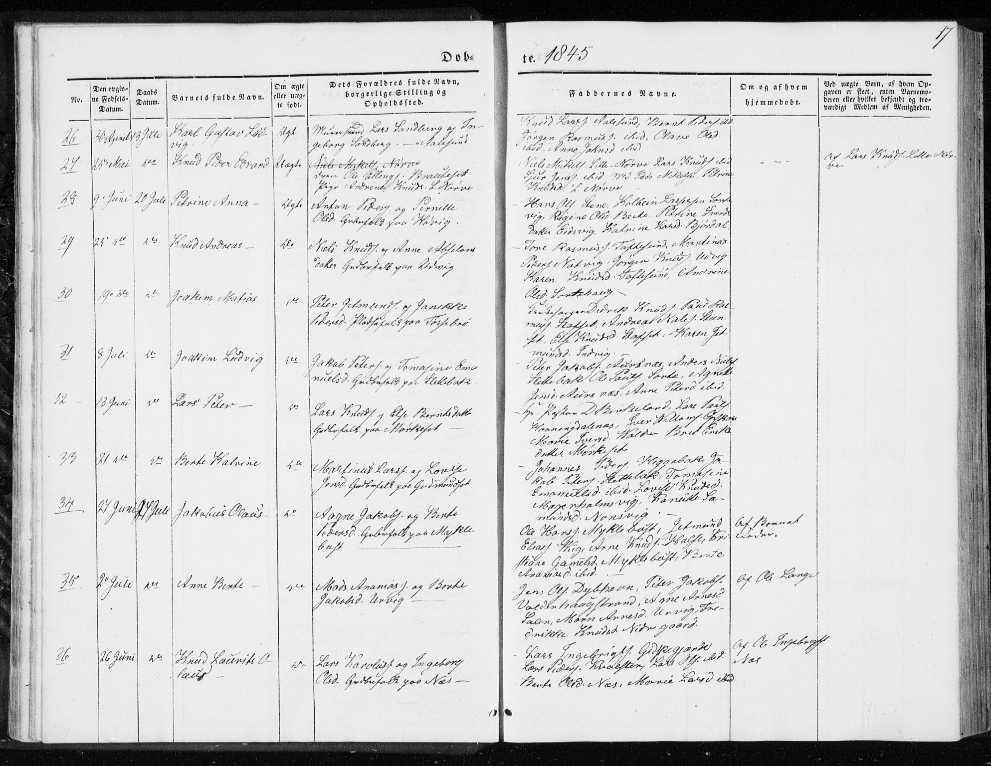 Ministerialprotokoller, klokkerbøker og fødselsregistre - Møre og Romsdal, AV/SAT-A-1454/528/L0415: Curate's parish register no. 528B03, 1843-1852, p. 17