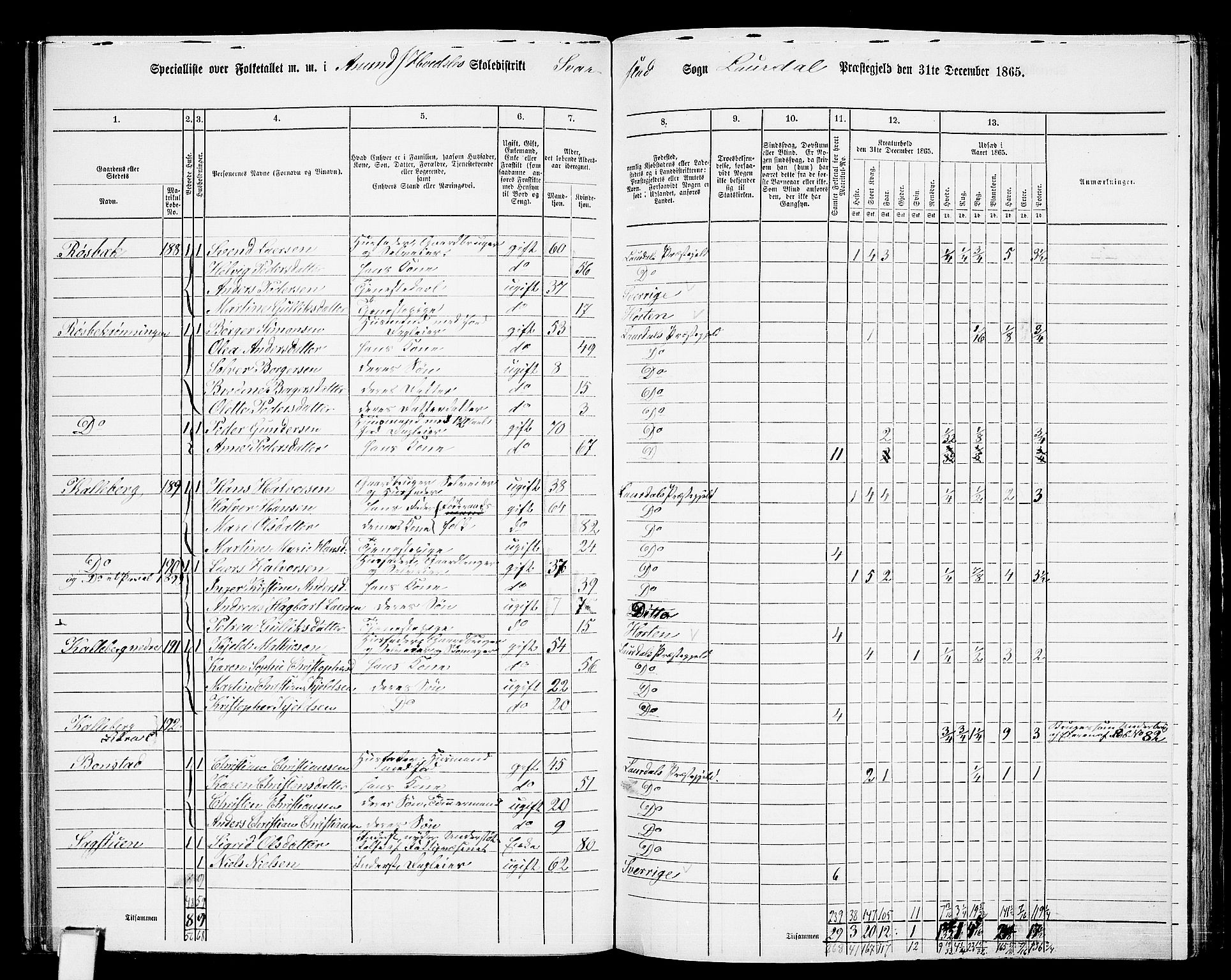 RA, 1865 census for Lardal, 1865, p. 58