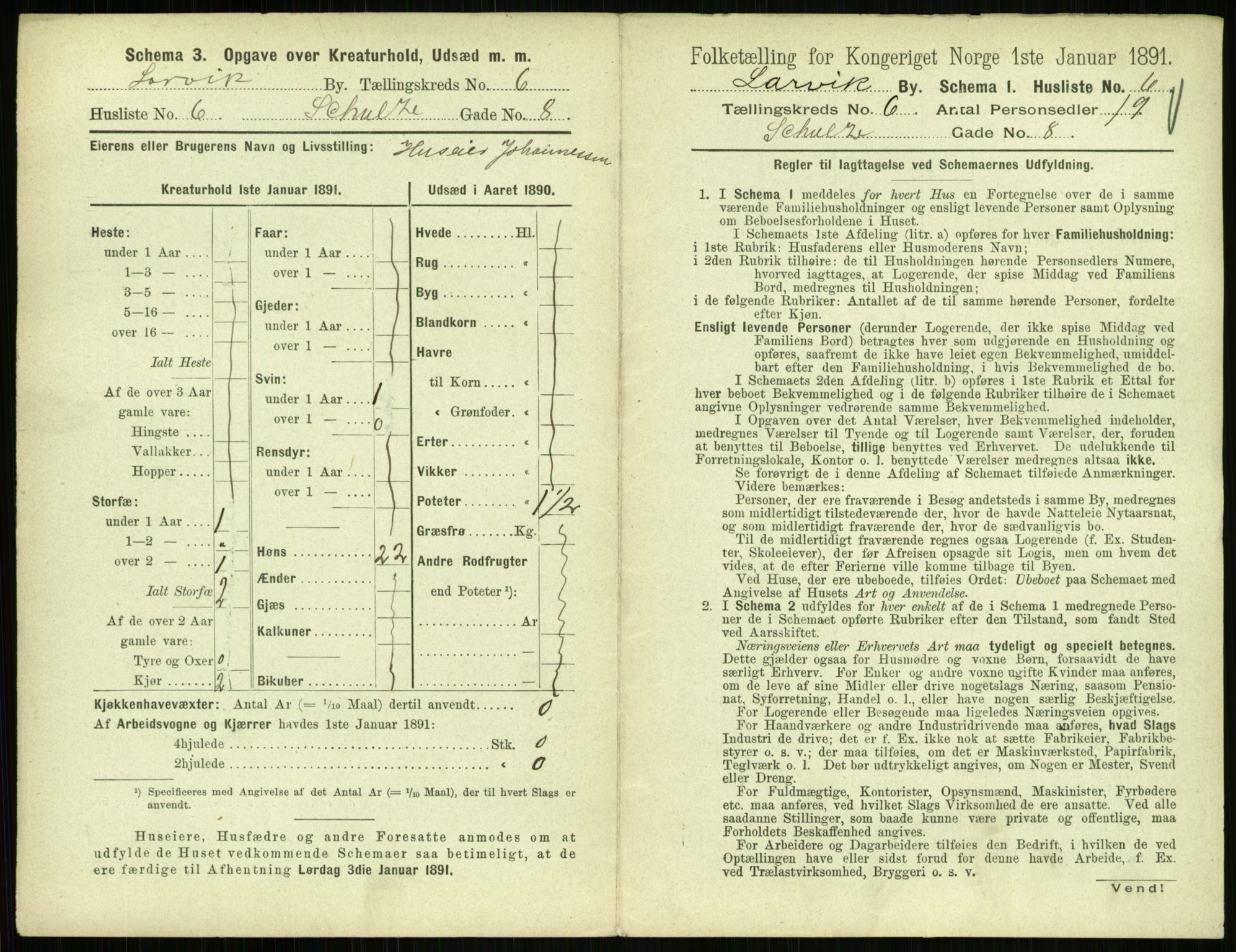 RA, 1891 census for 0707 Larvik, 1891, p. 817