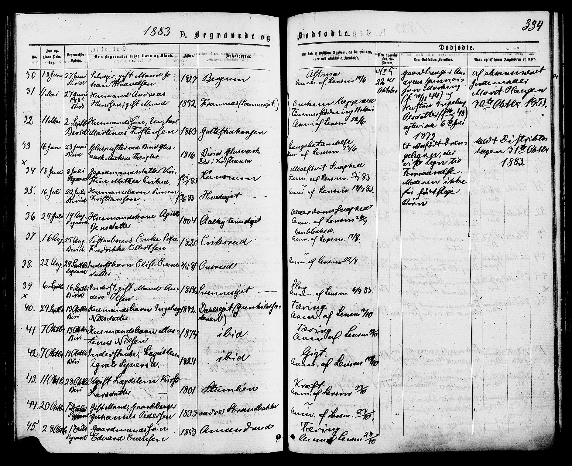 Biri prestekontor, SAH/PREST-096/H/Ha/Haa/L0006: Parish register (official) no. 6, 1877-1886, p. 334