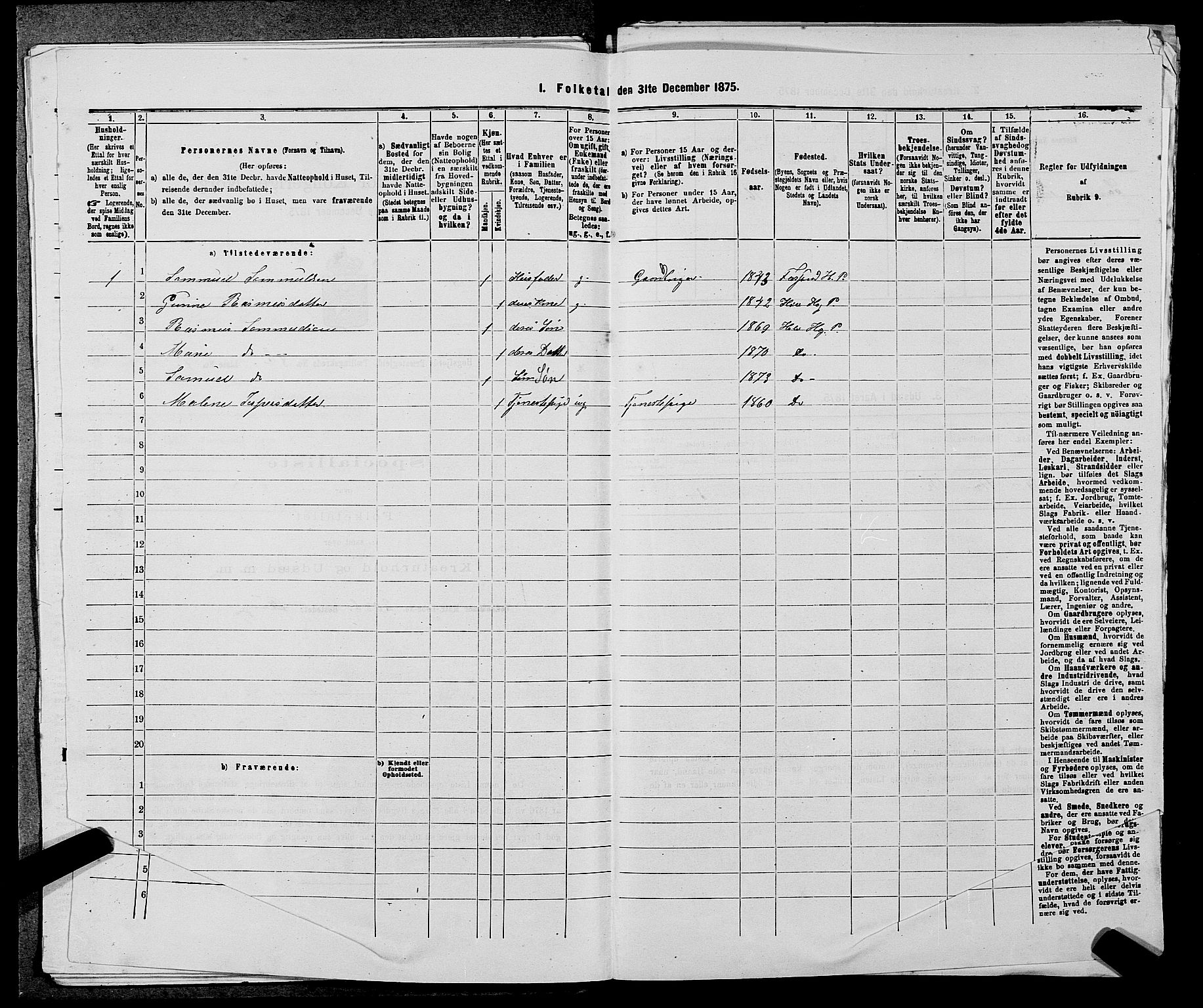 SAST, 1875 census for 1128P Høgsfjord, 1875, p. 733