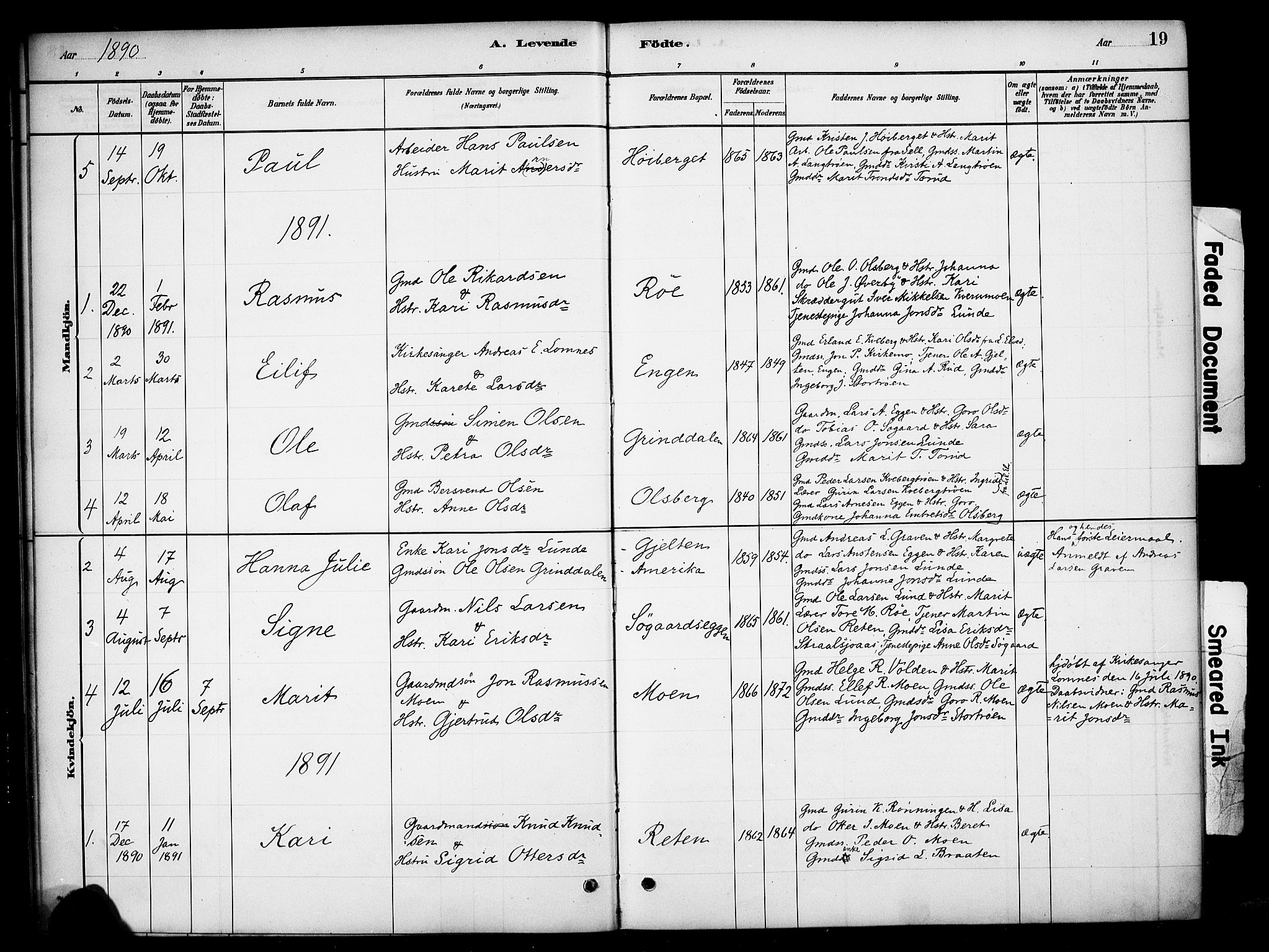 Tynset prestekontor, SAH/PREST-058/H/Ha/Haa/L0023: Parish register (official) no. 23, 1880-1901, p. 19