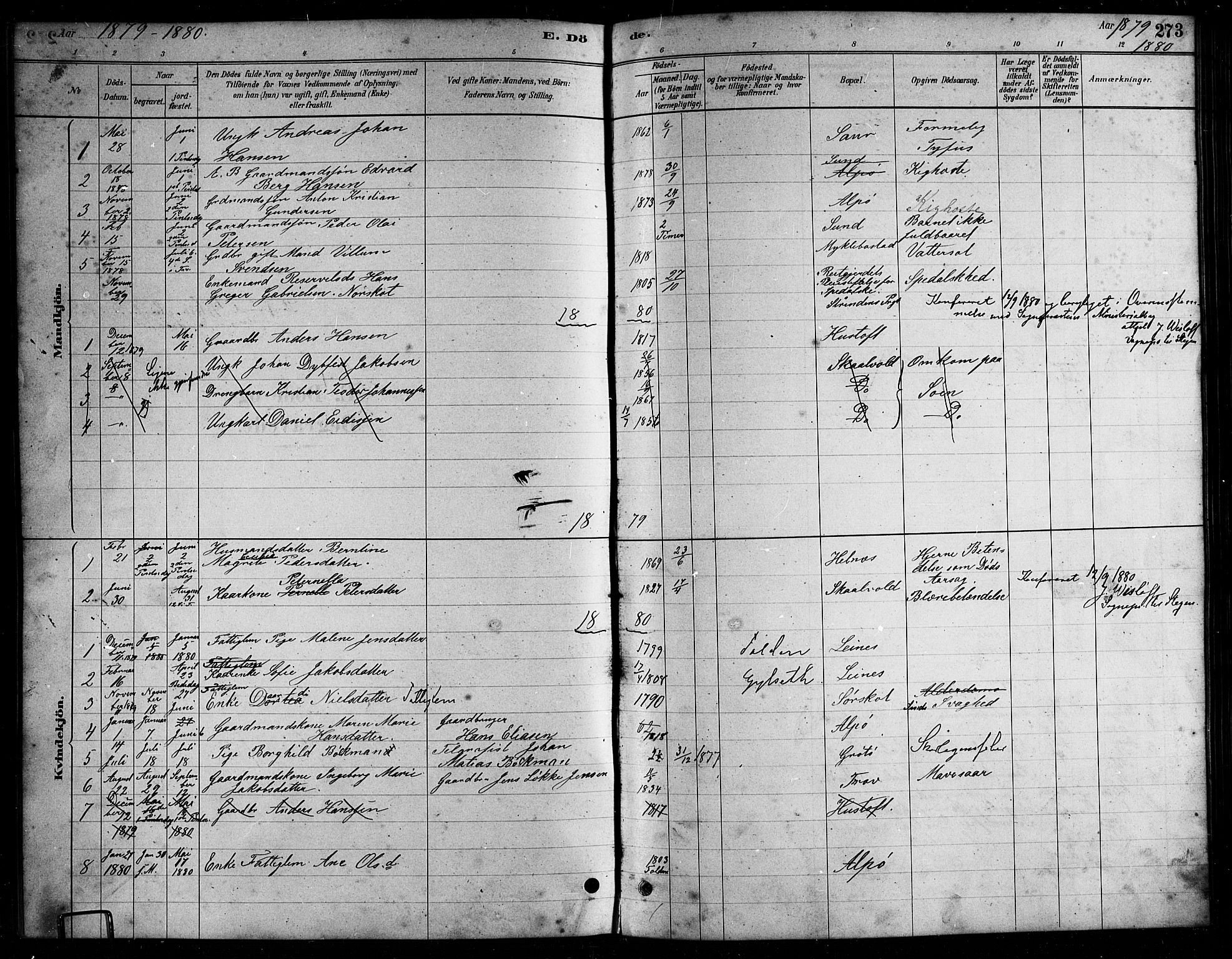 Ministerialprotokoller, klokkerbøker og fødselsregistre - Nordland, AV/SAT-A-1459/857/L0828: Parish register (copy) no. 857C03, 1879-1908, p. 273