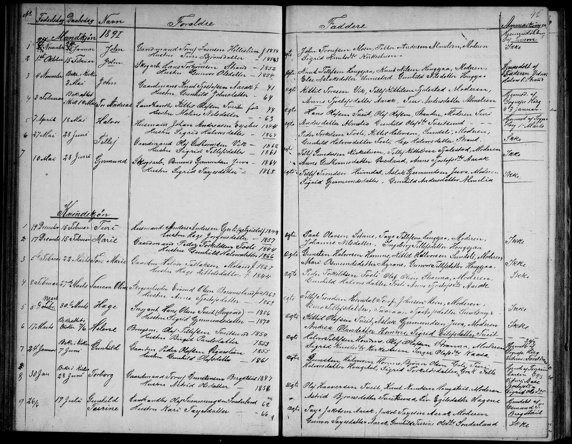 Nissedal kirkebøker, SAKO/A-288/G/Gb/L0002: Parish register (copy) no. II 2, 1863-1892, p. 45