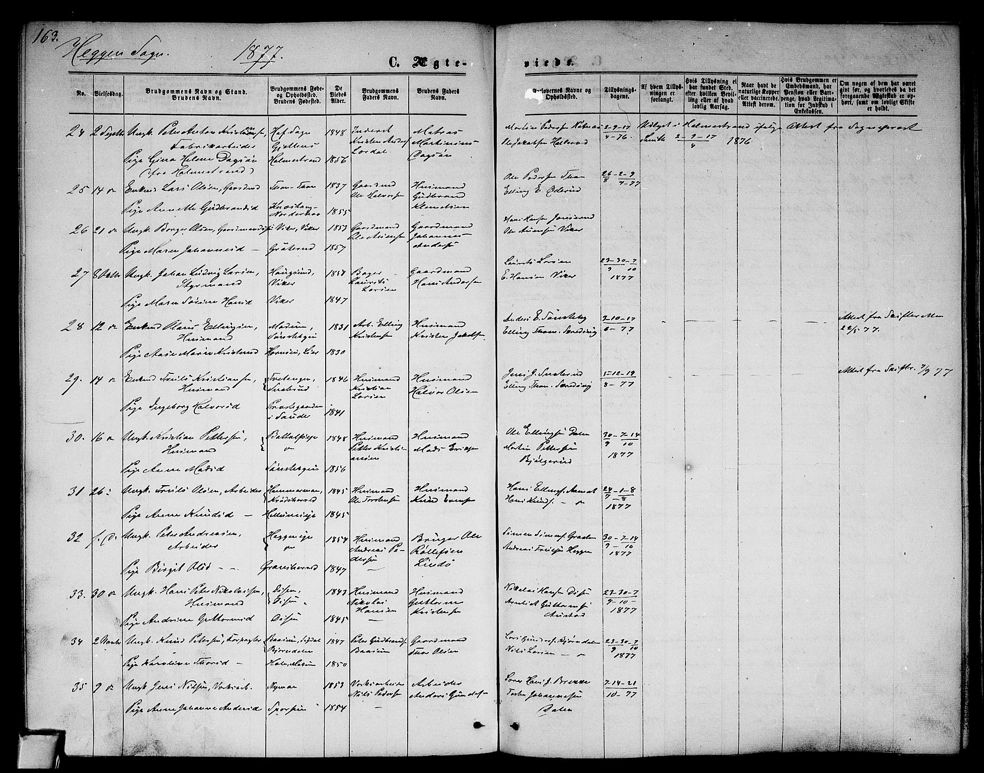 Modum kirkebøker, AV/SAKO-A-234/G/Ga/L0007: Parish register (copy) no. I 7, 1869-1878, p. 163