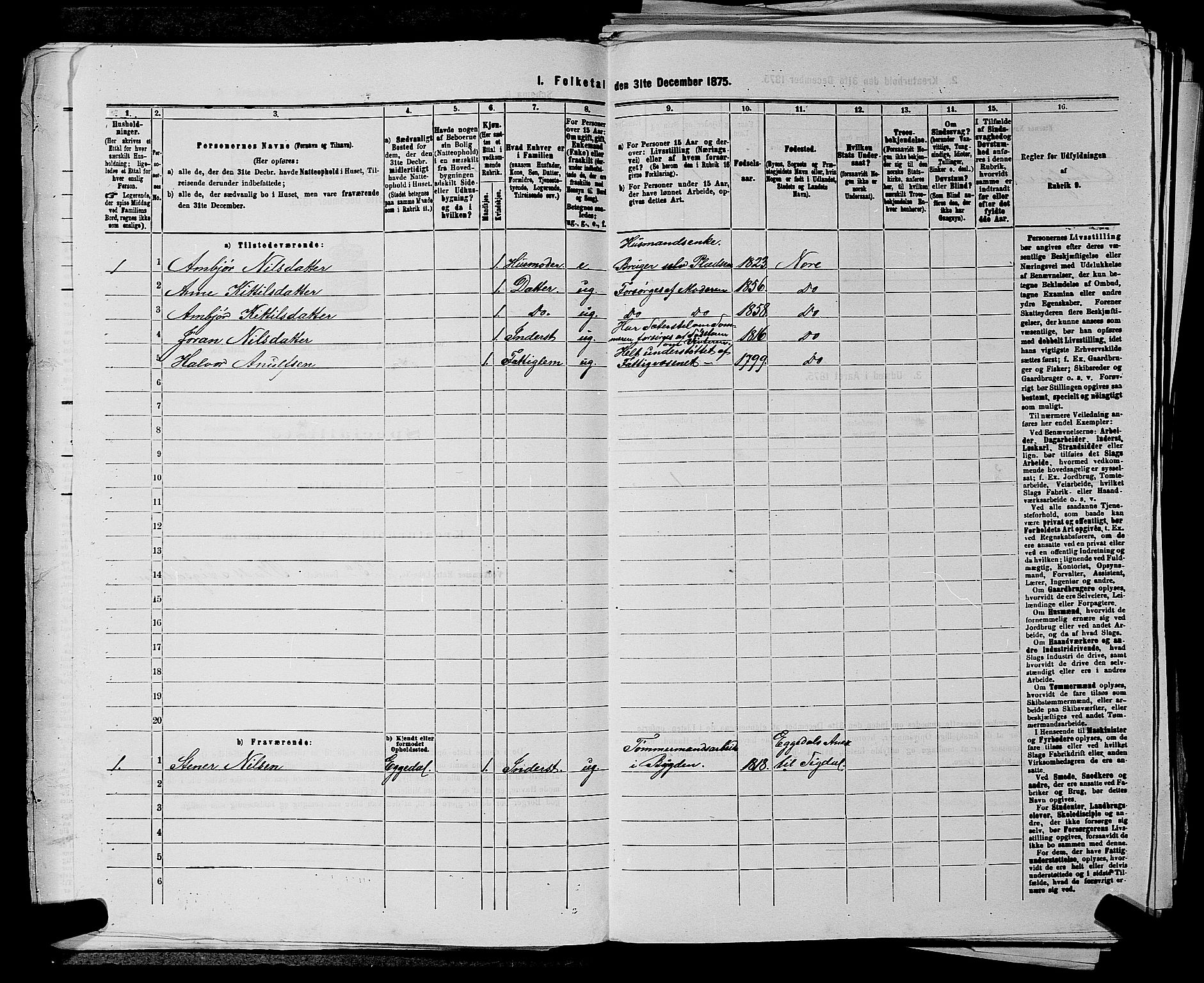 SAKO, 1875 census for 0633P Nore, 1875, p. 1031