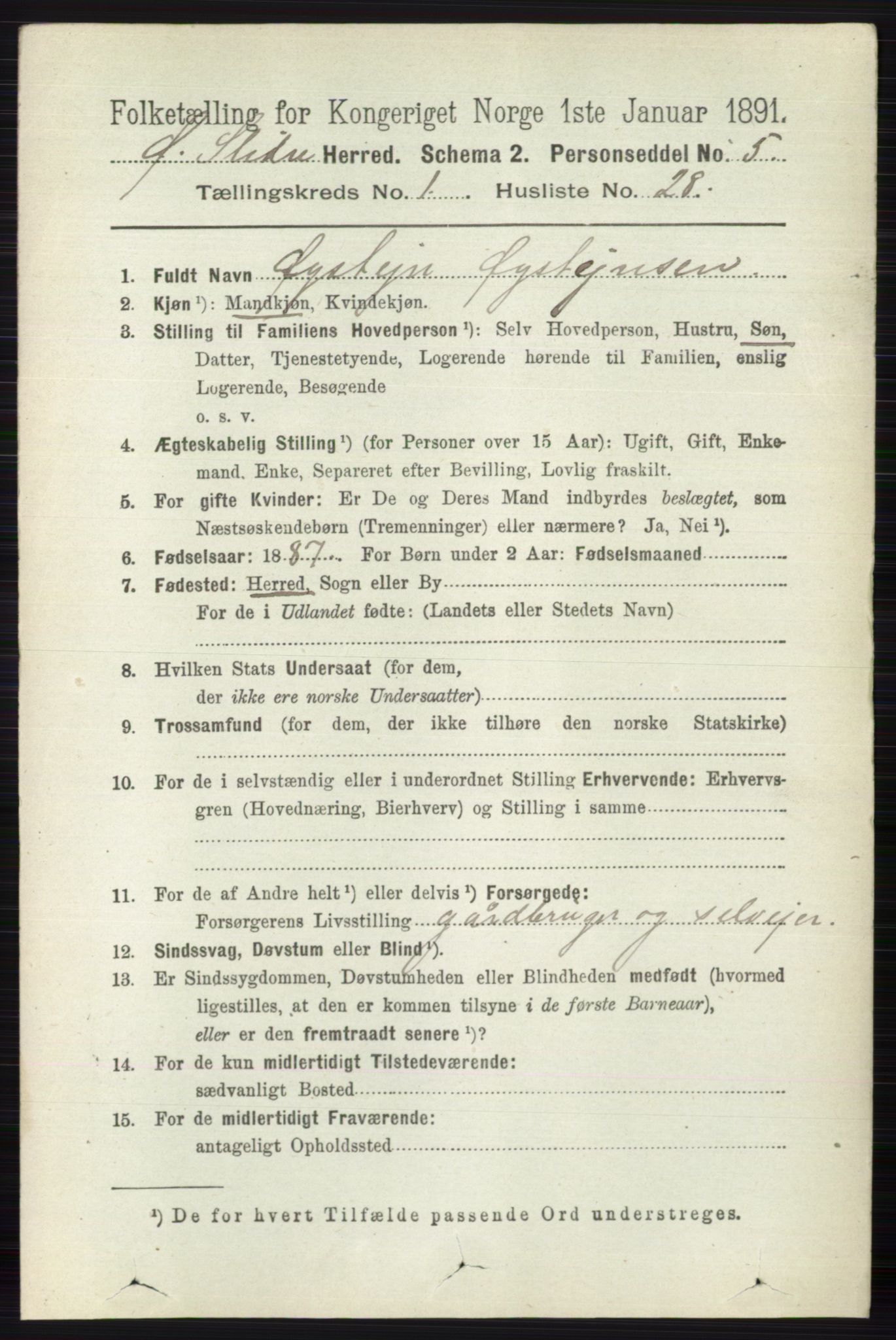 RA, 1891 census for 0544 Øystre Slidre, 1891, p. 207