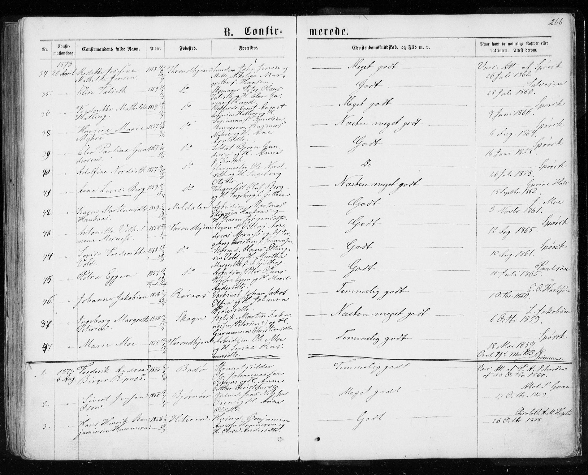 Ministerialprotokoller, klokkerbøker og fødselsregistre - Sør-Trøndelag, AV/SAT-A-1456/601/L0054: Parish register (official) no. 601A22, 1866-1877, p. 266